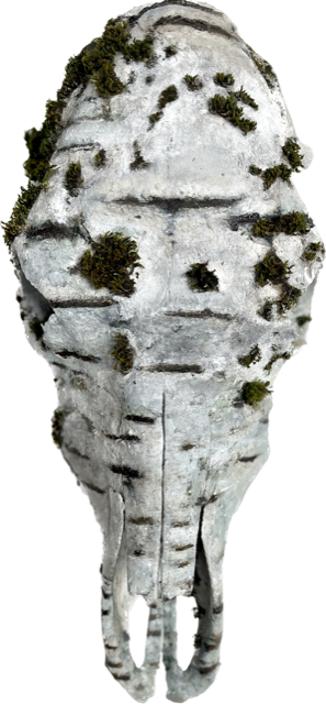 SOLD- Meret | Oil, Papermache, Natural Moss on Cow Skull | 26" x 14" x 7" | $1000