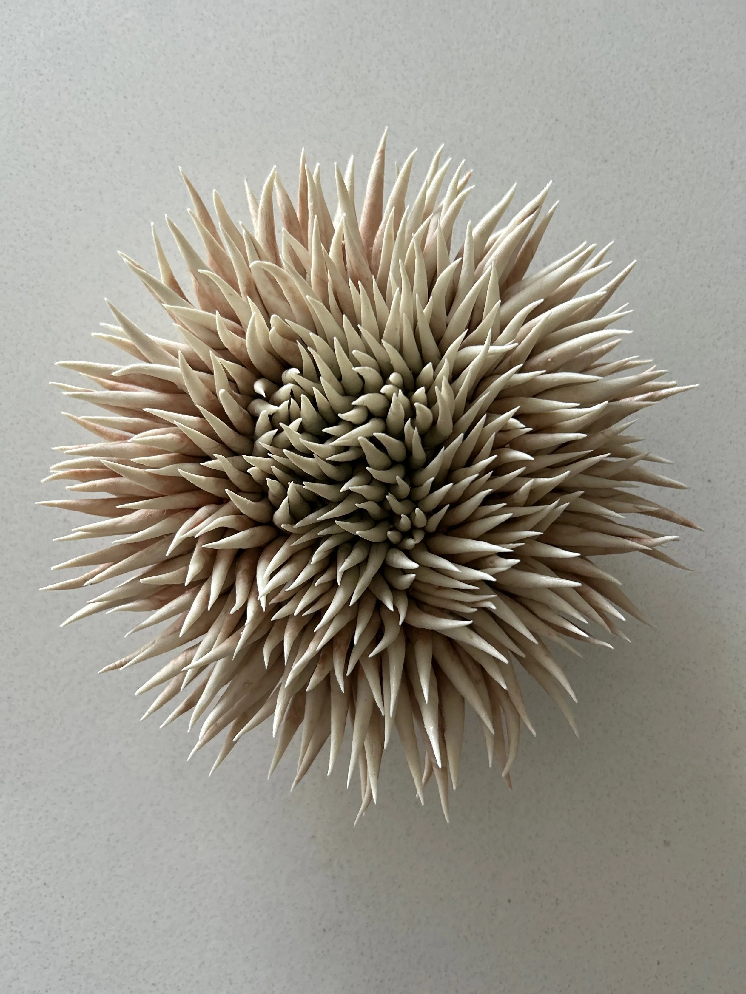 SOLD- Blush |Porcelain Wall Sculpture | 8x8x3.5 inch | $350