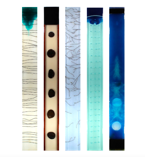 Scott Gibson - Visual Symphony II