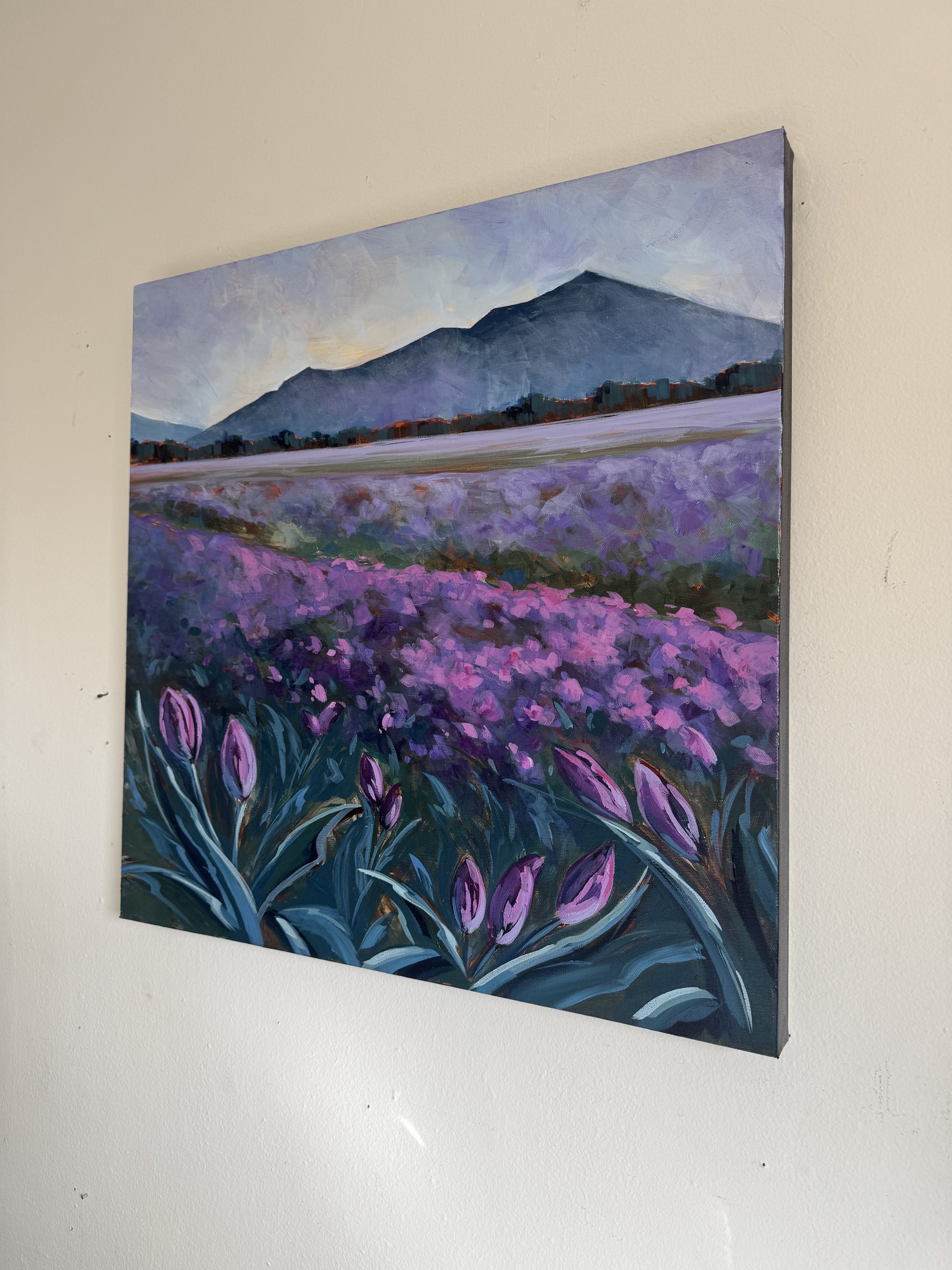 Skagit Blooms 2 .jpeg