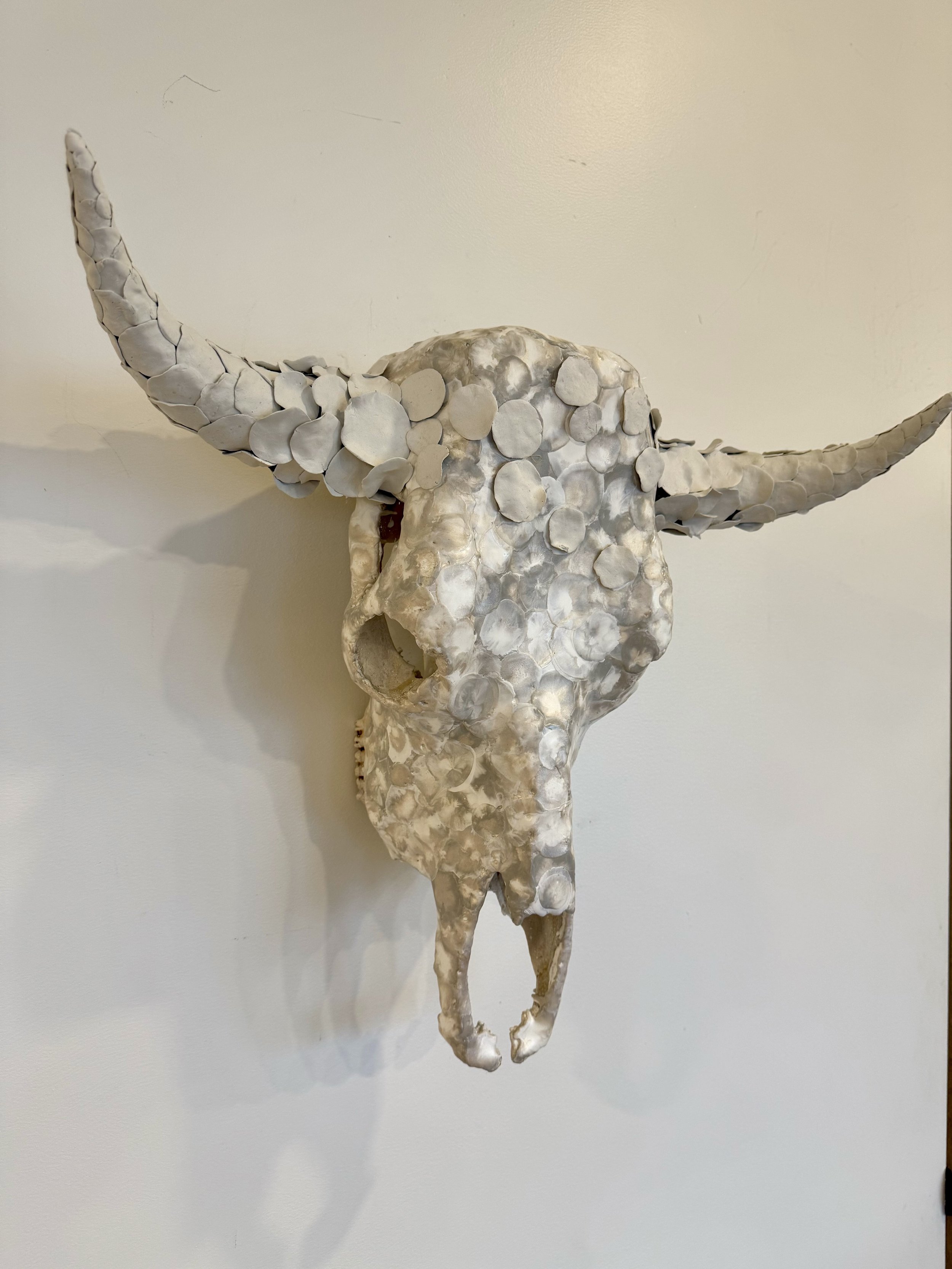 skull1.jpg