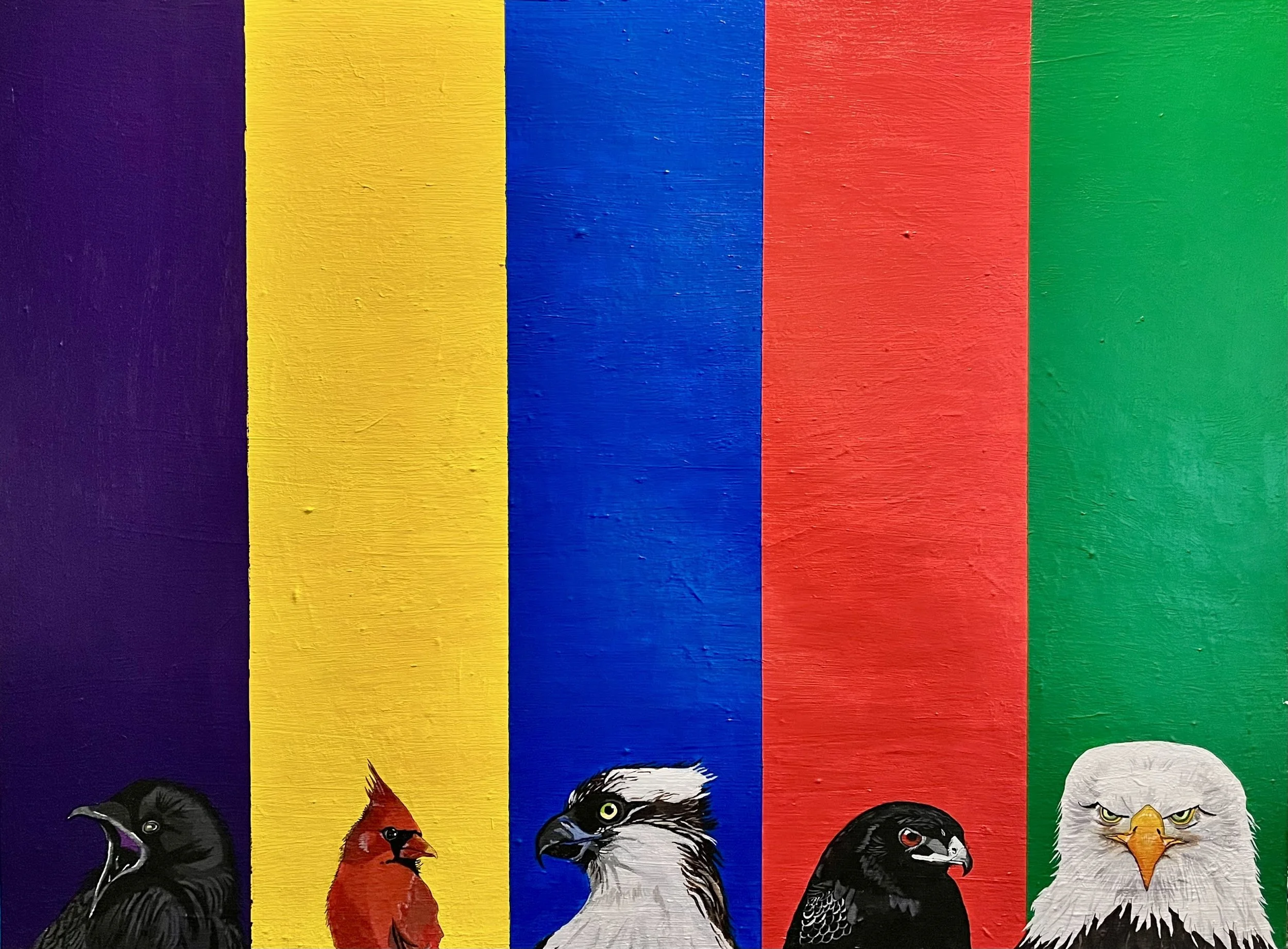 Birds of the NFL Color.jpg