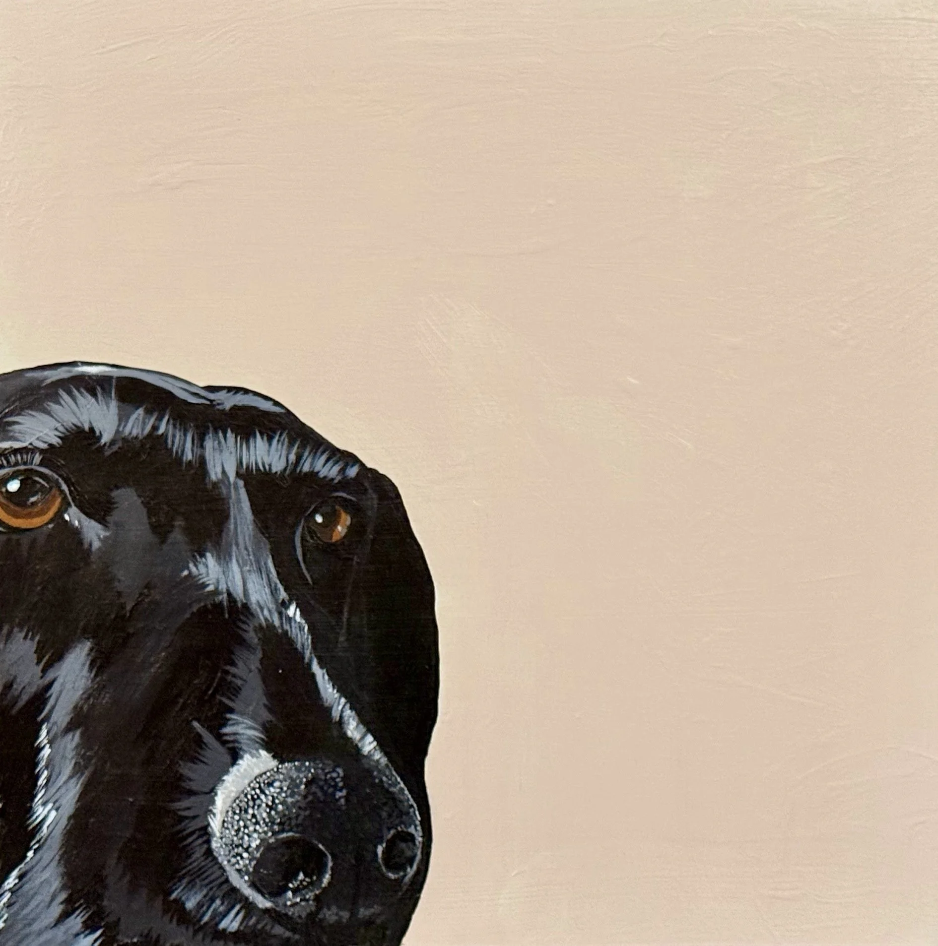 Cha_Cha_VI_Snoop_Close_Up (1).jpg