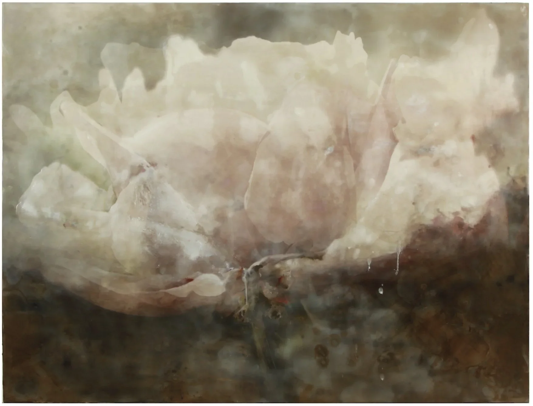 Image+6-24-25+at+1.11+PM.webp
