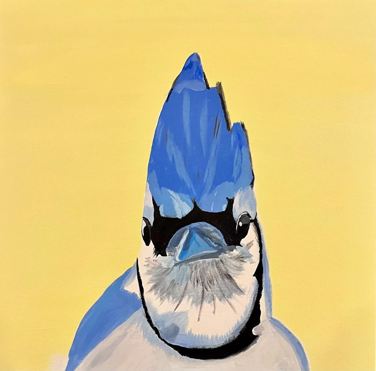 BlueJay.jpg
