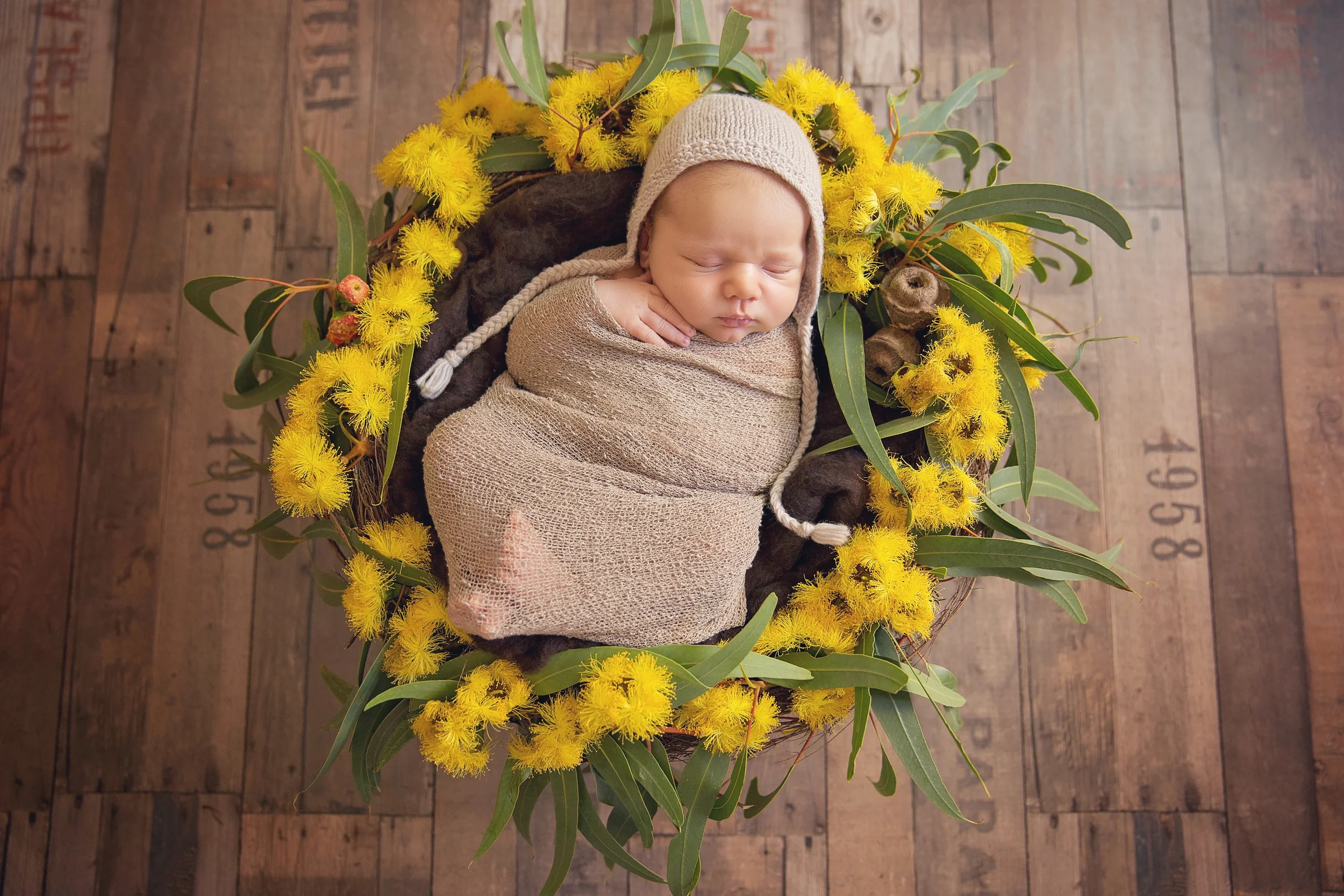Arlie15days-7-Recovered.jpg