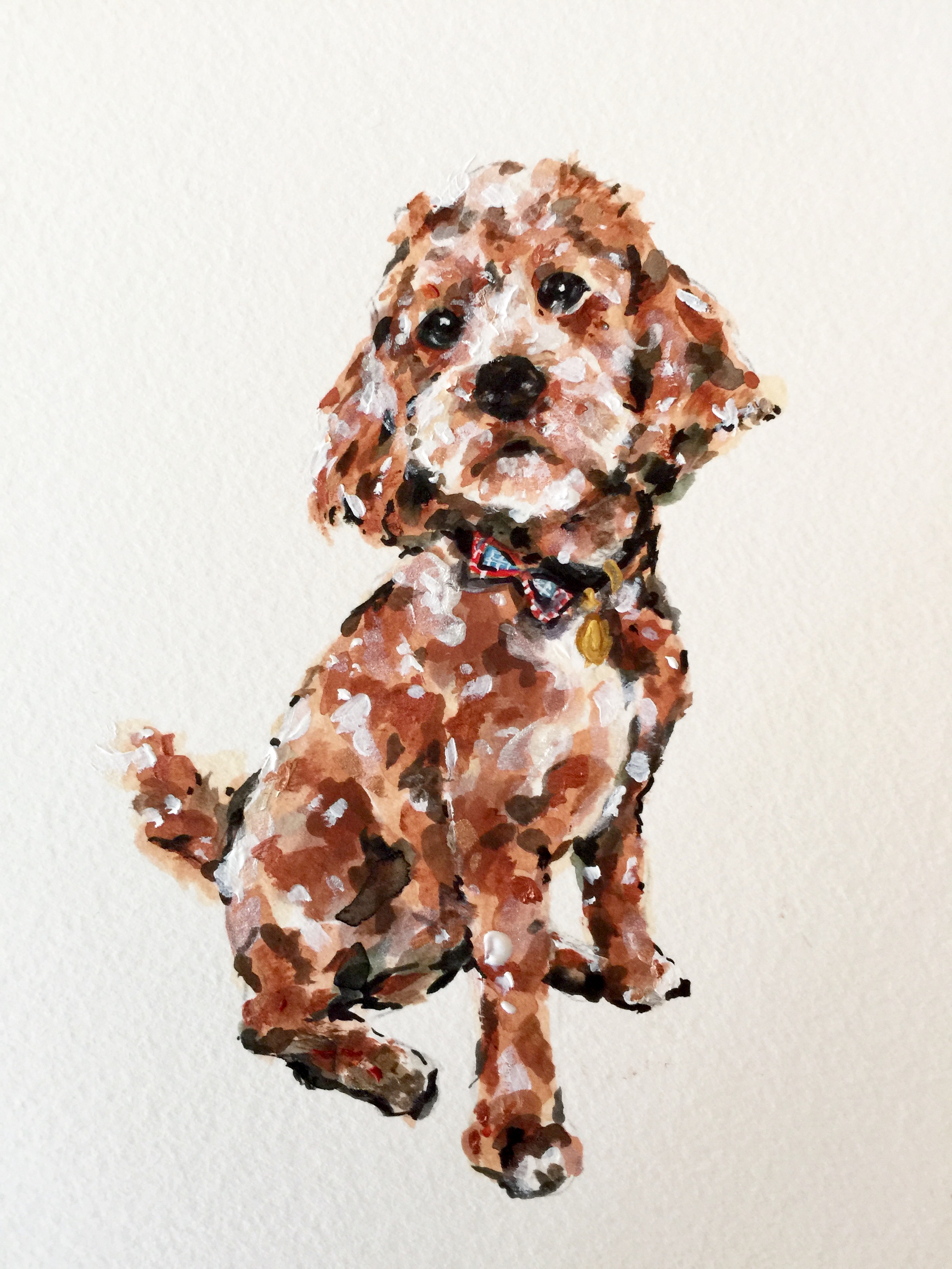 A Friend's Pup
