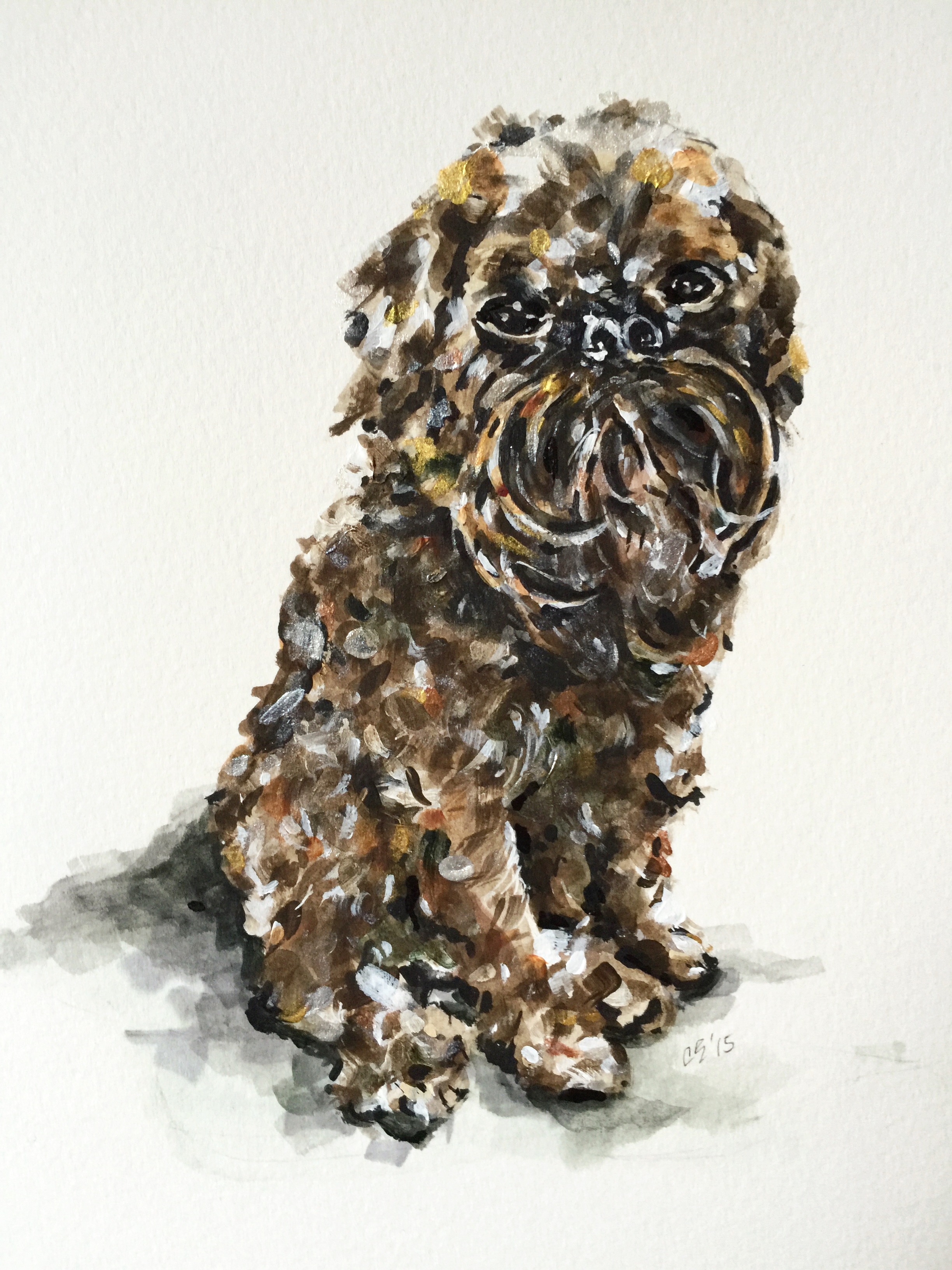 Pierre, Brussels Griffon