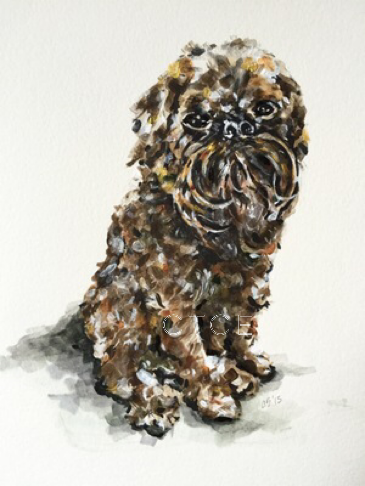 Pierre, Brussels Griffon