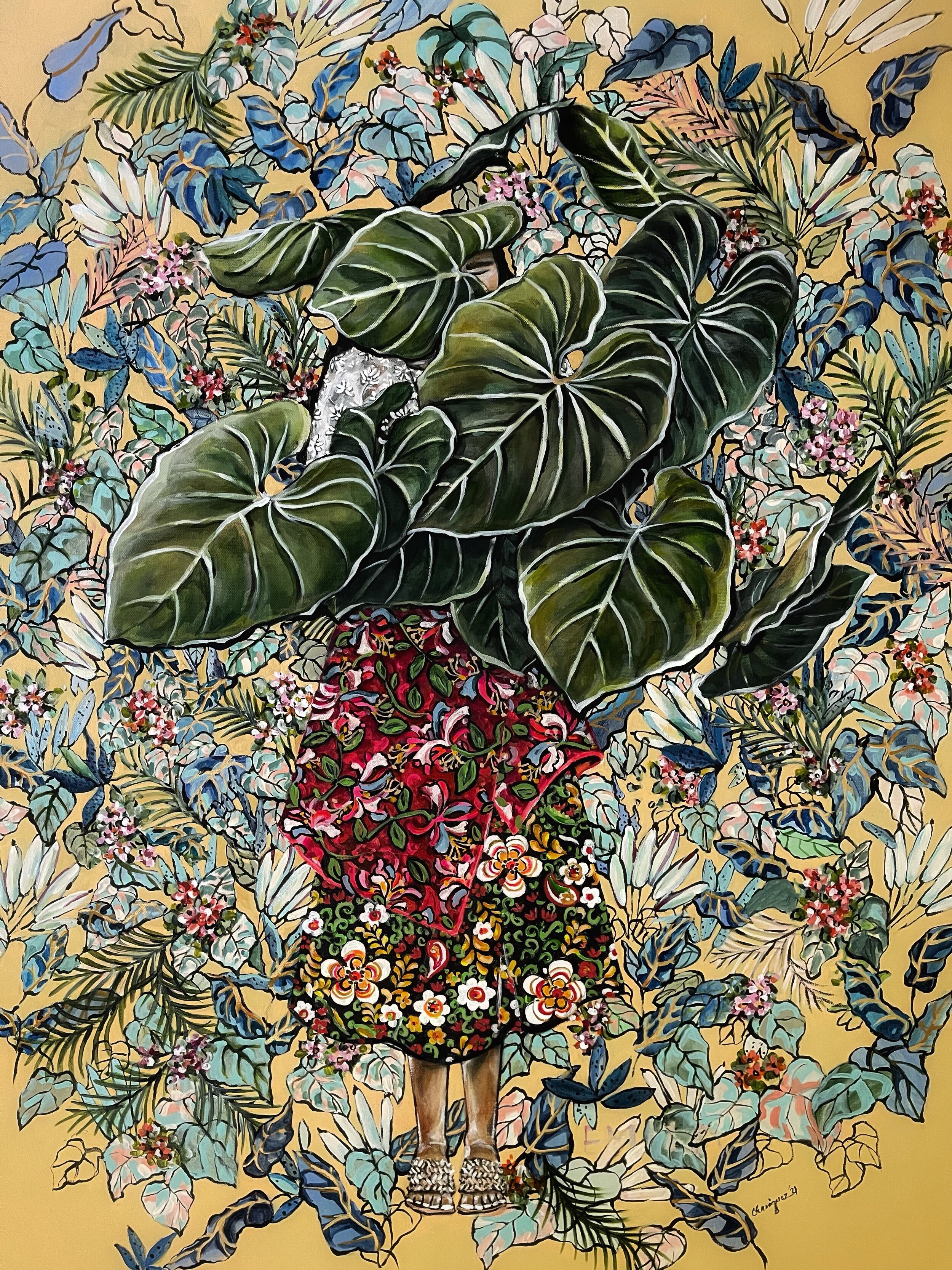 Anthurium Regale