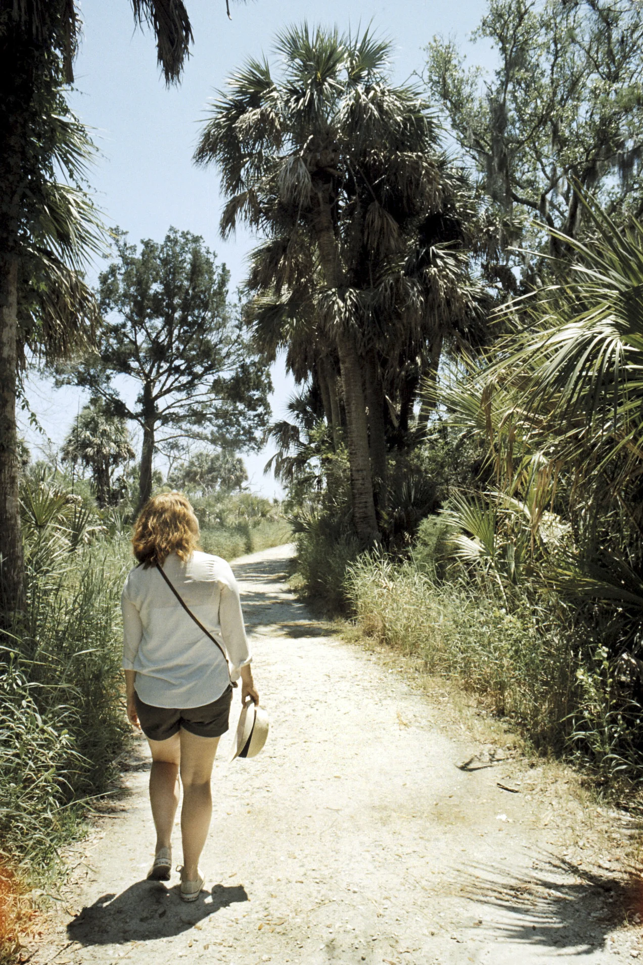   35mm    Edisto Island, SC  