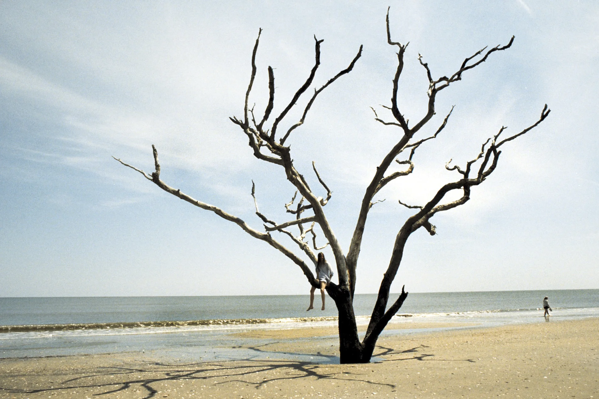   35mm    Edisto Island, SC  