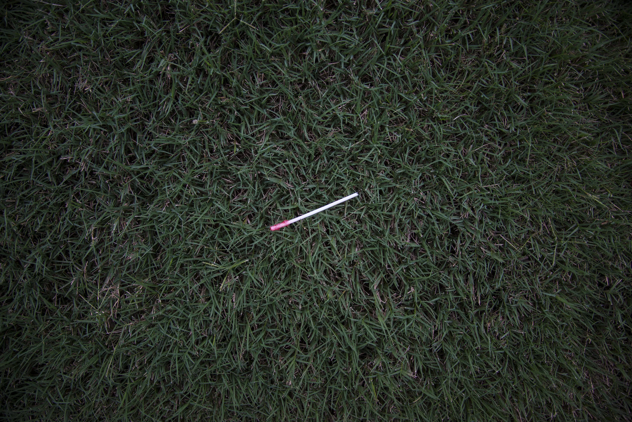 Sucker.jpg
