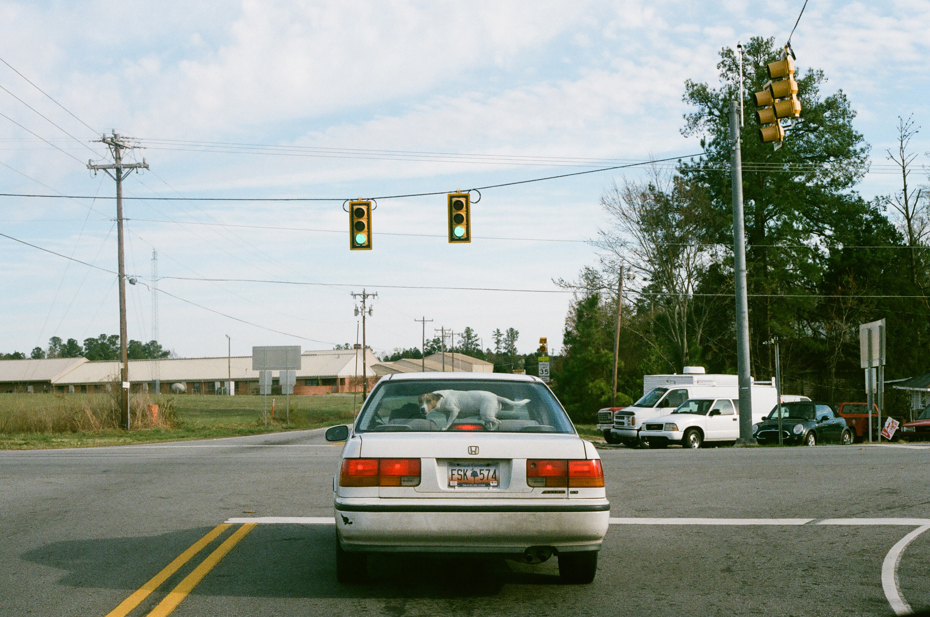   35mm    South Carolina   