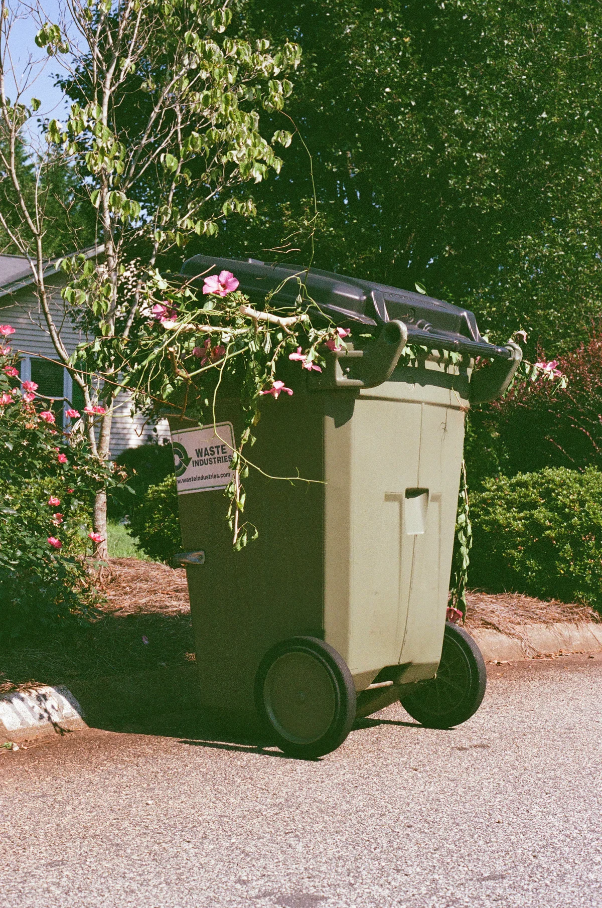   35mm    South Carolina   