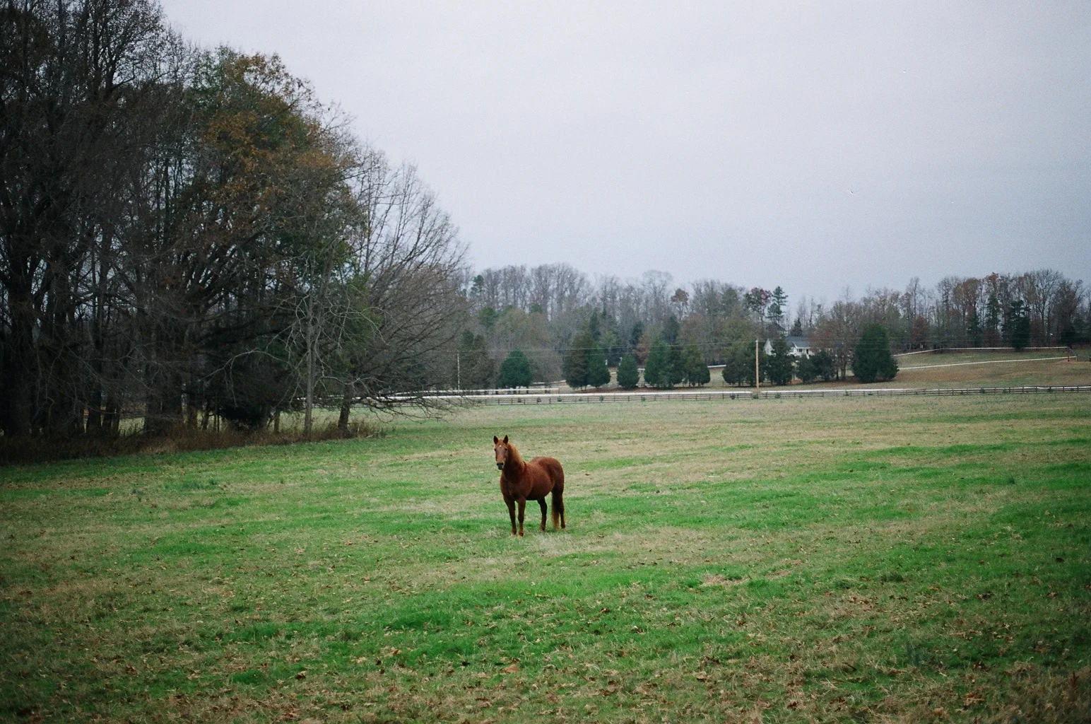   35mm    South Carolina   