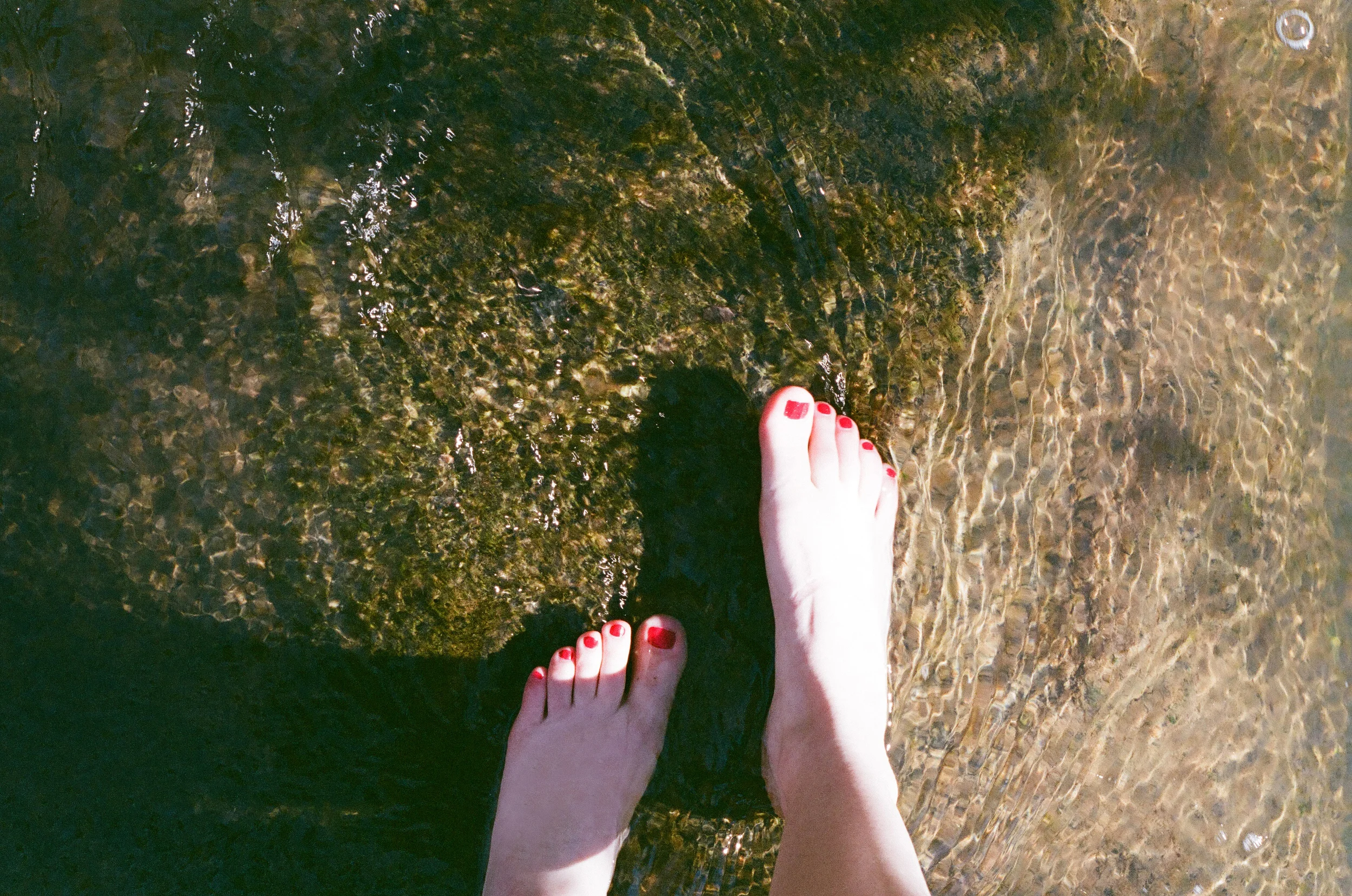   35mm    South Carolina   