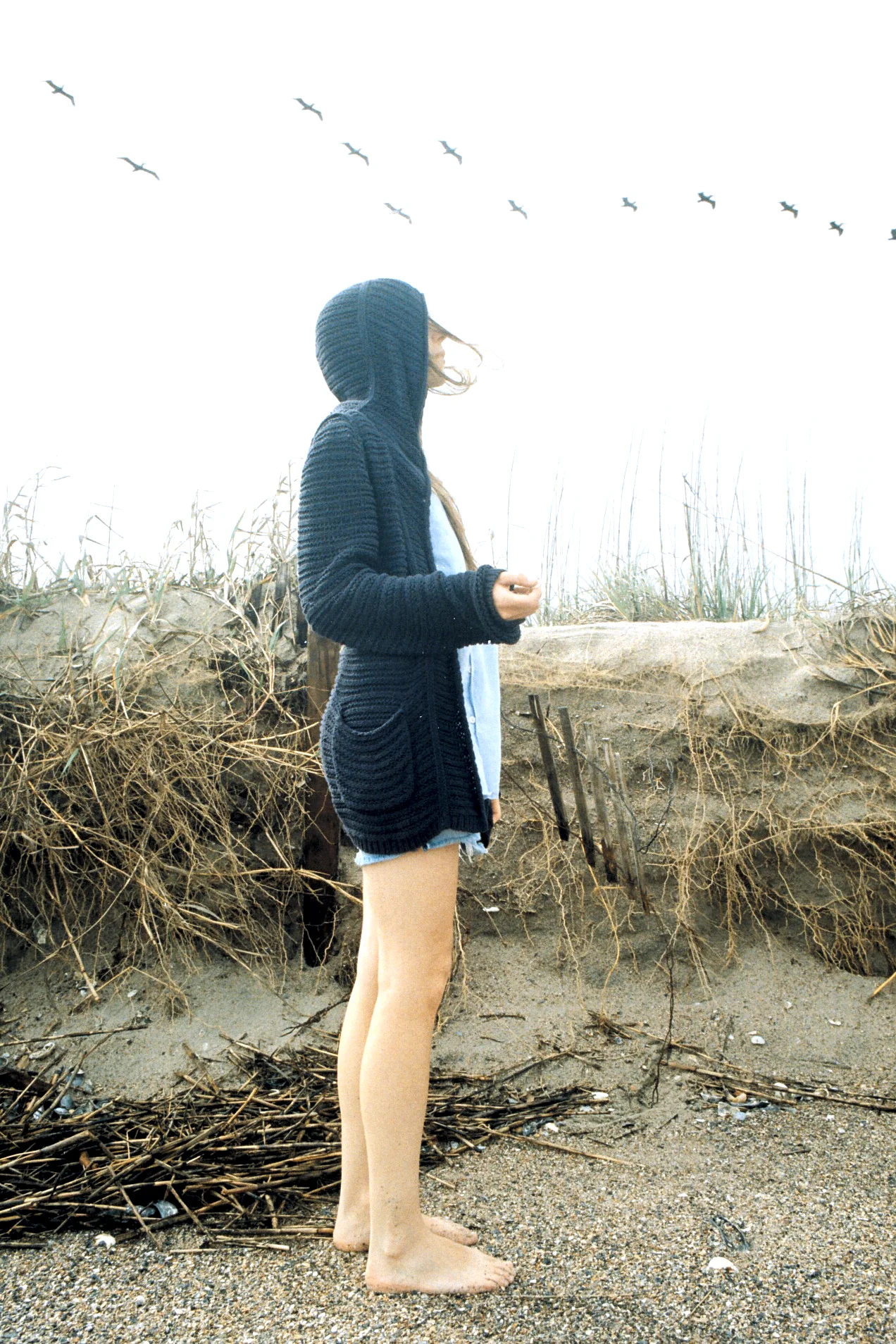   35mm    Edisto Island, SC  
