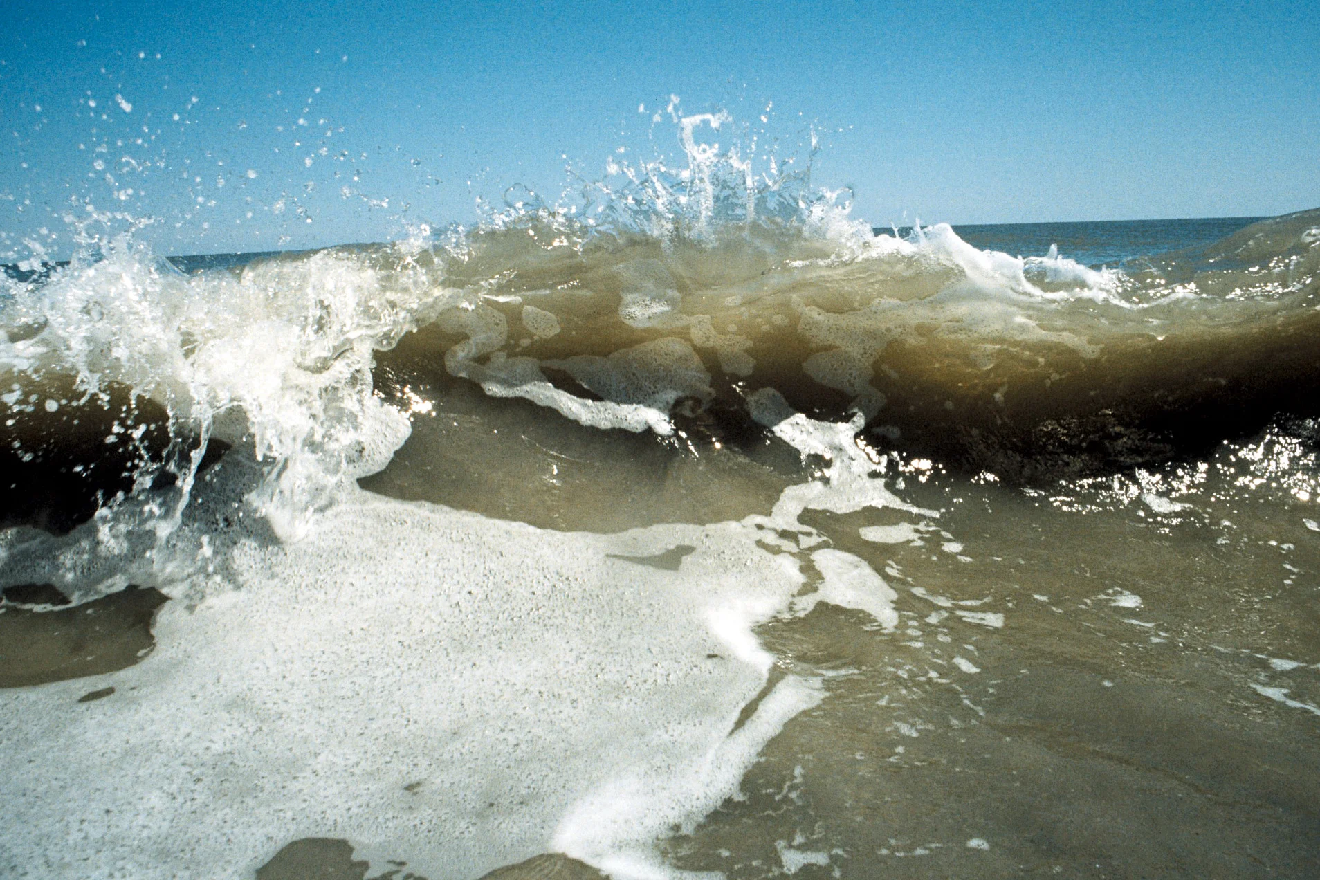   35mm    Edisto Island, SC  