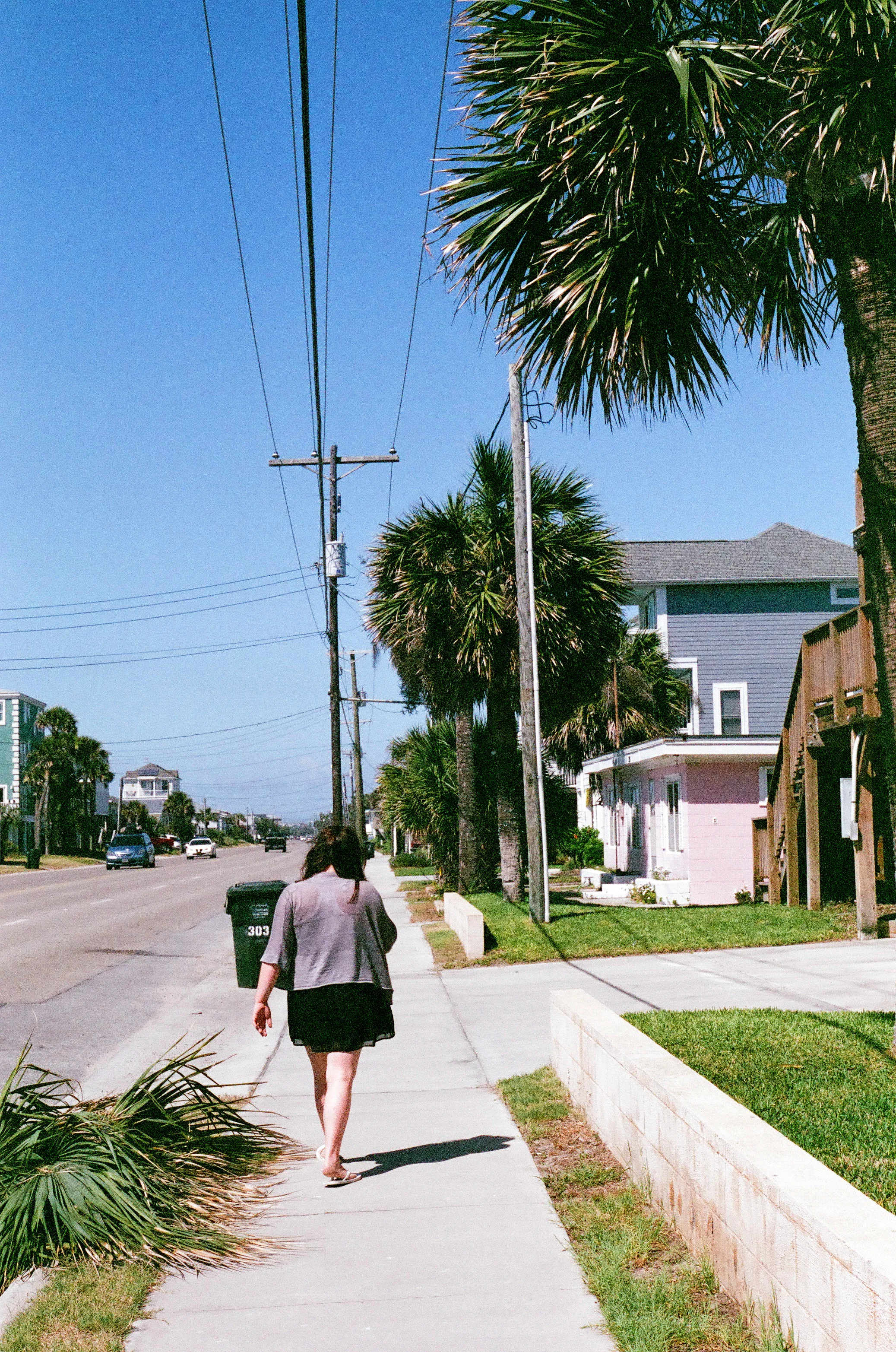   35mm    Edisto Island, SC  
