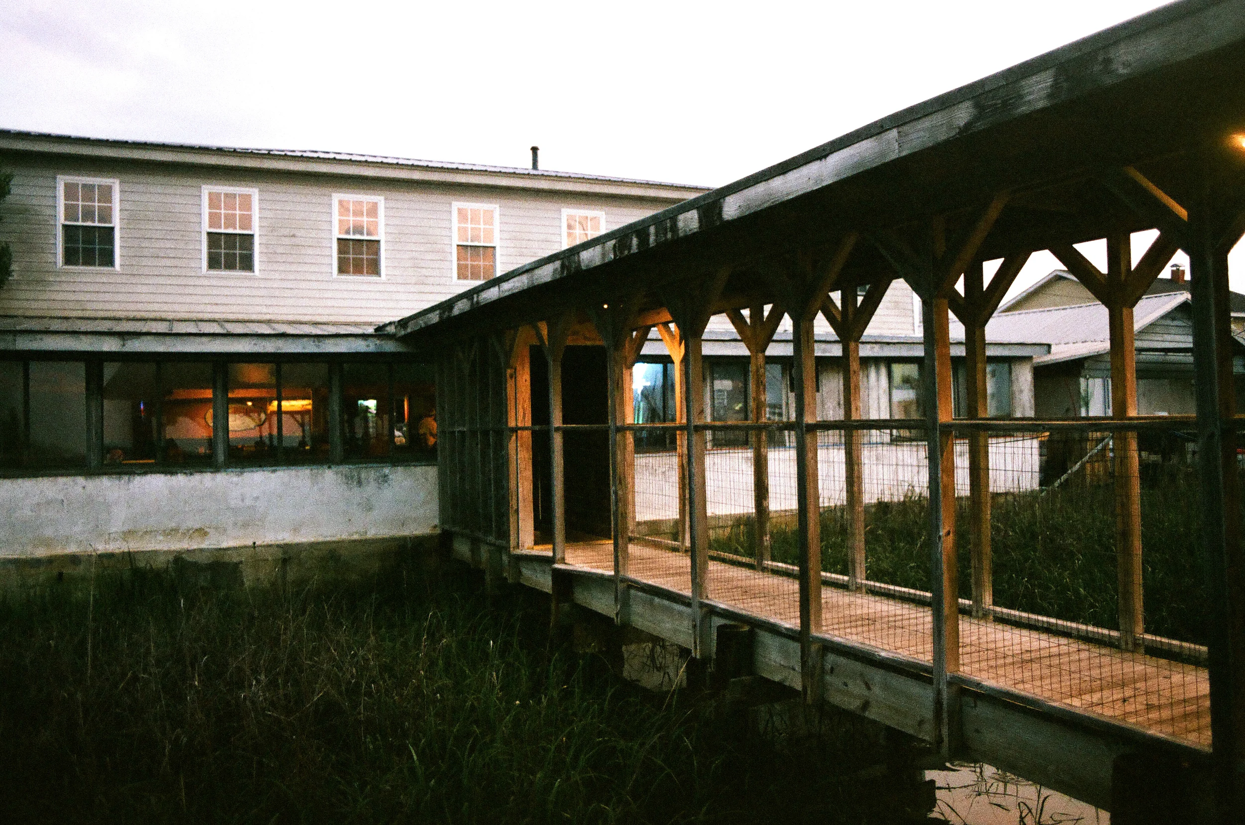   35mm    Edisto Island, SC  