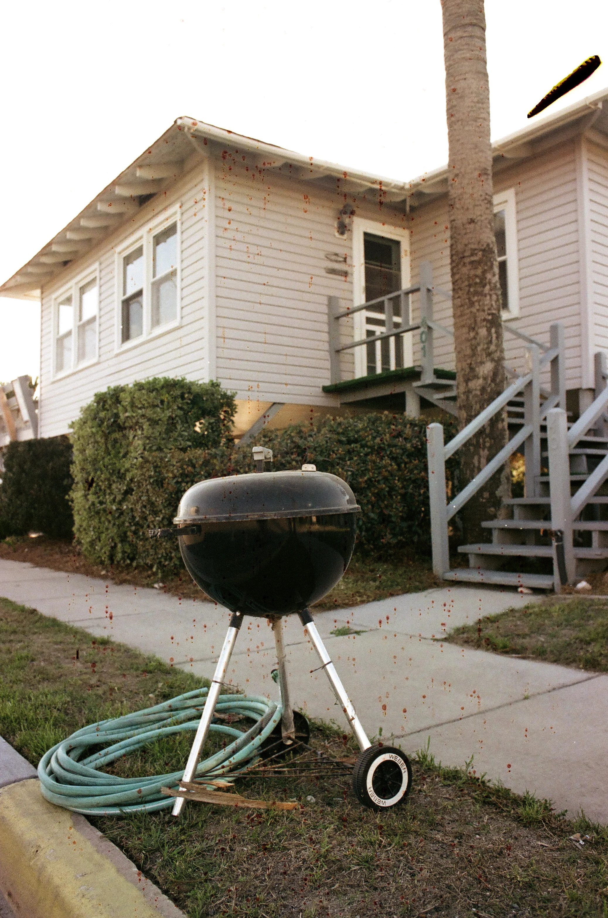   35mm    Edisto Island, SC  