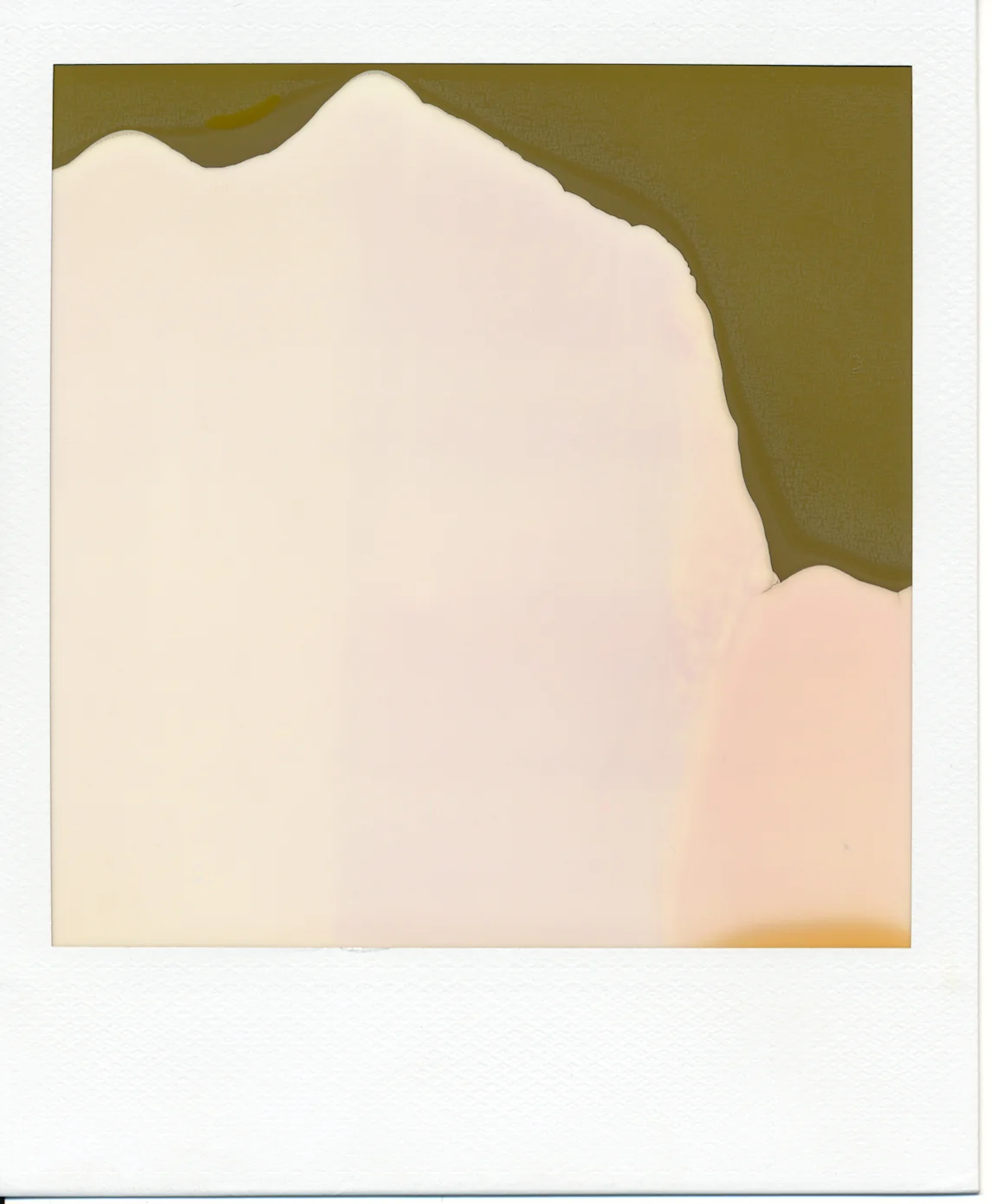 Polaroid (7)final.jpg