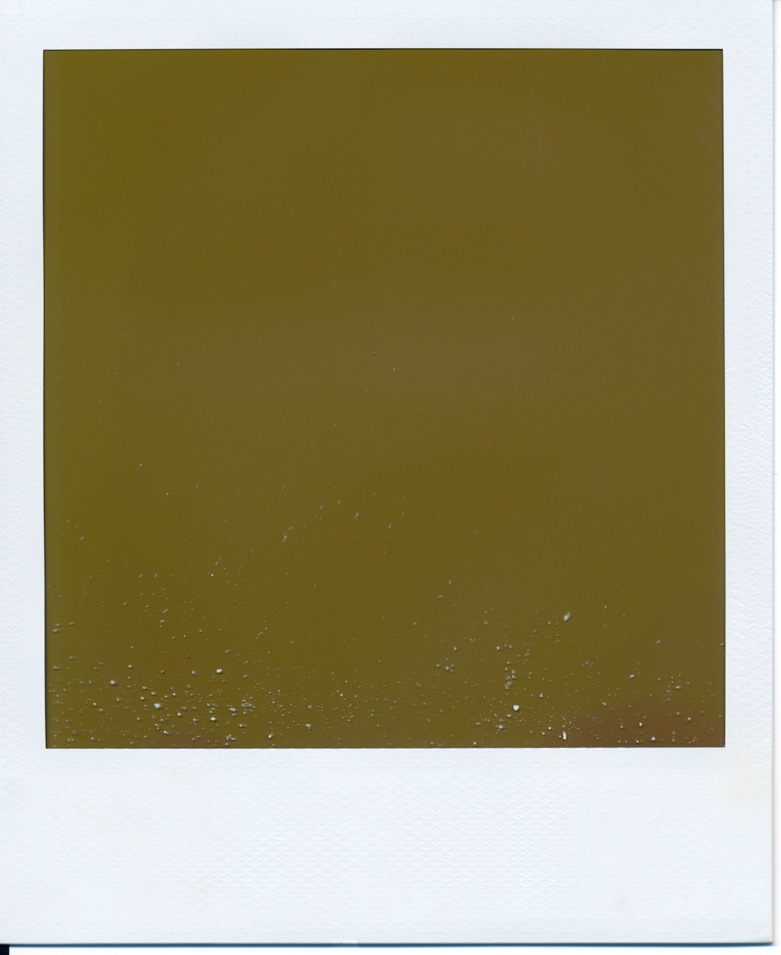 Polaroid (11)final.jpg