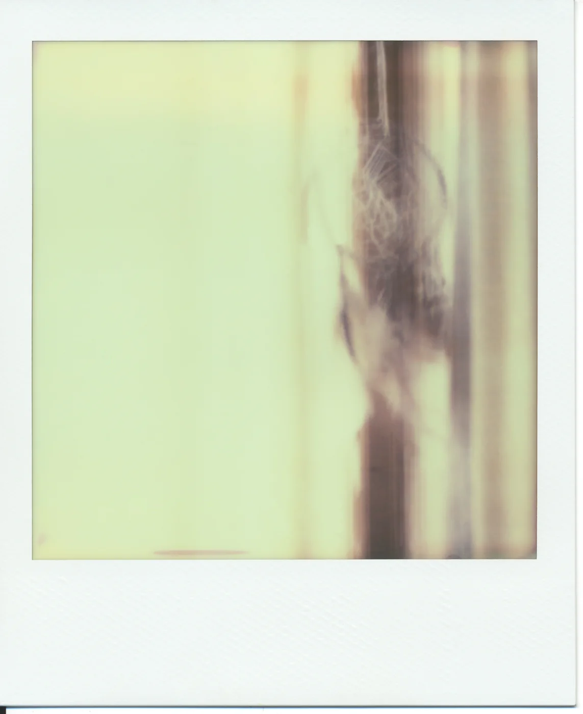 Polaroid (8)final.jpg