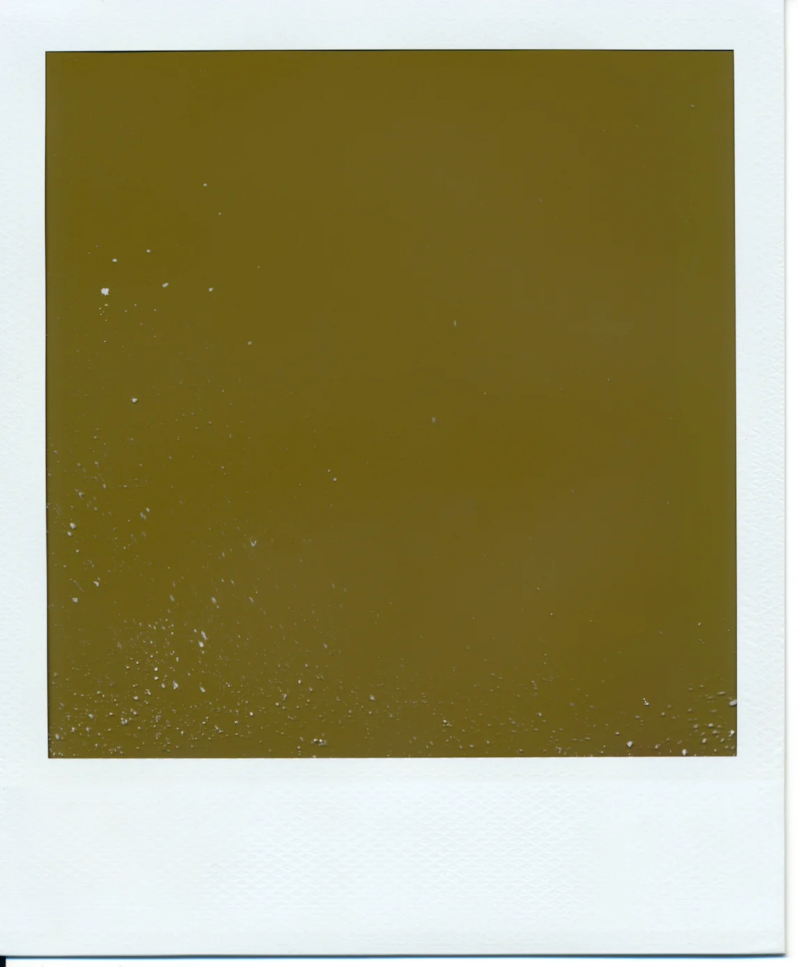 Polaroid (2)final.jpg