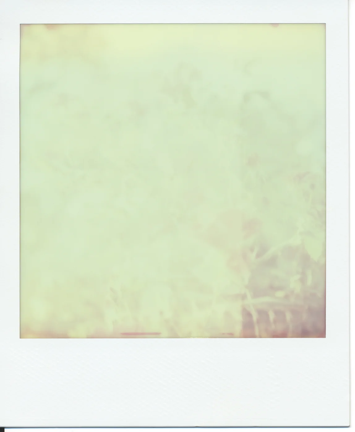 Polaroid (3)final.jpg