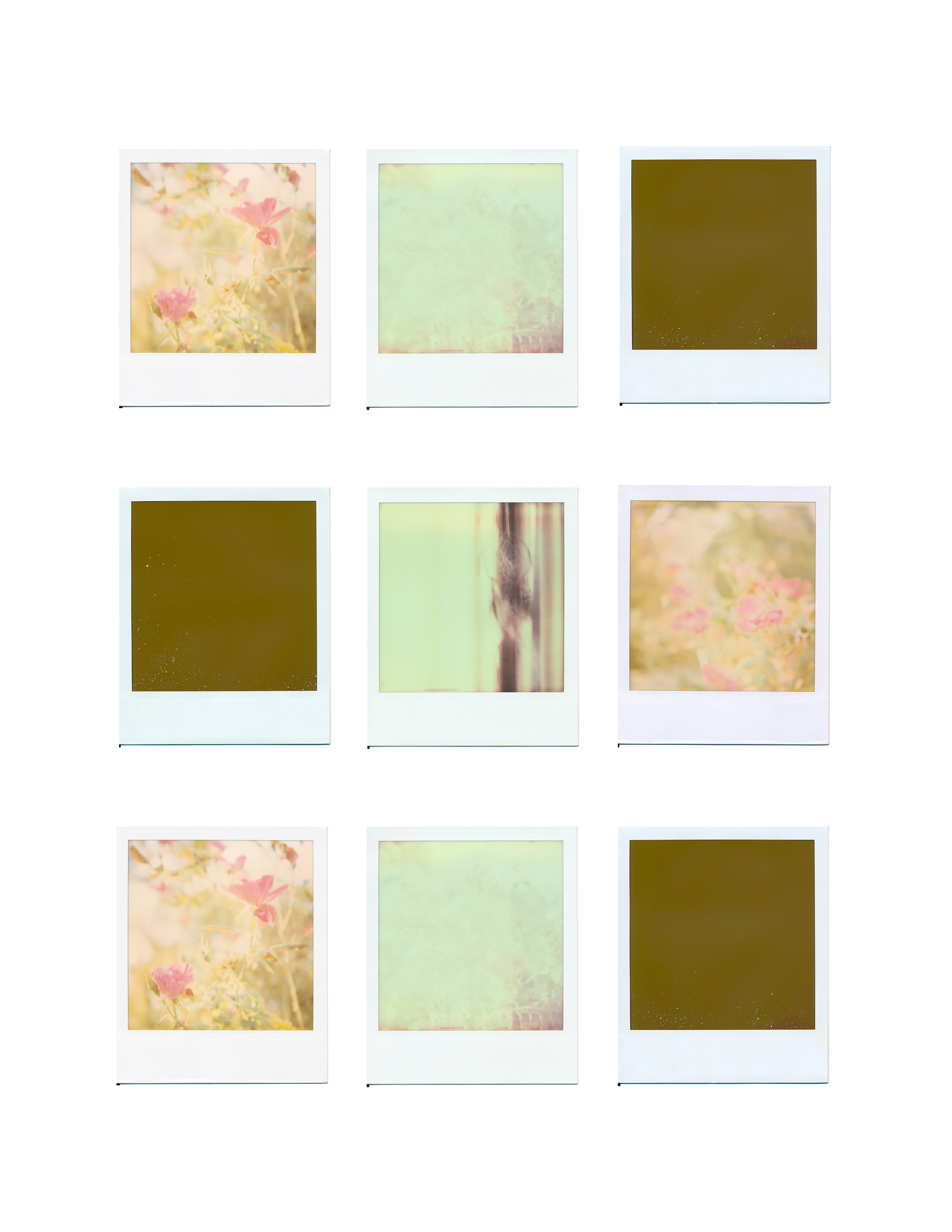 Collage Example .jpg