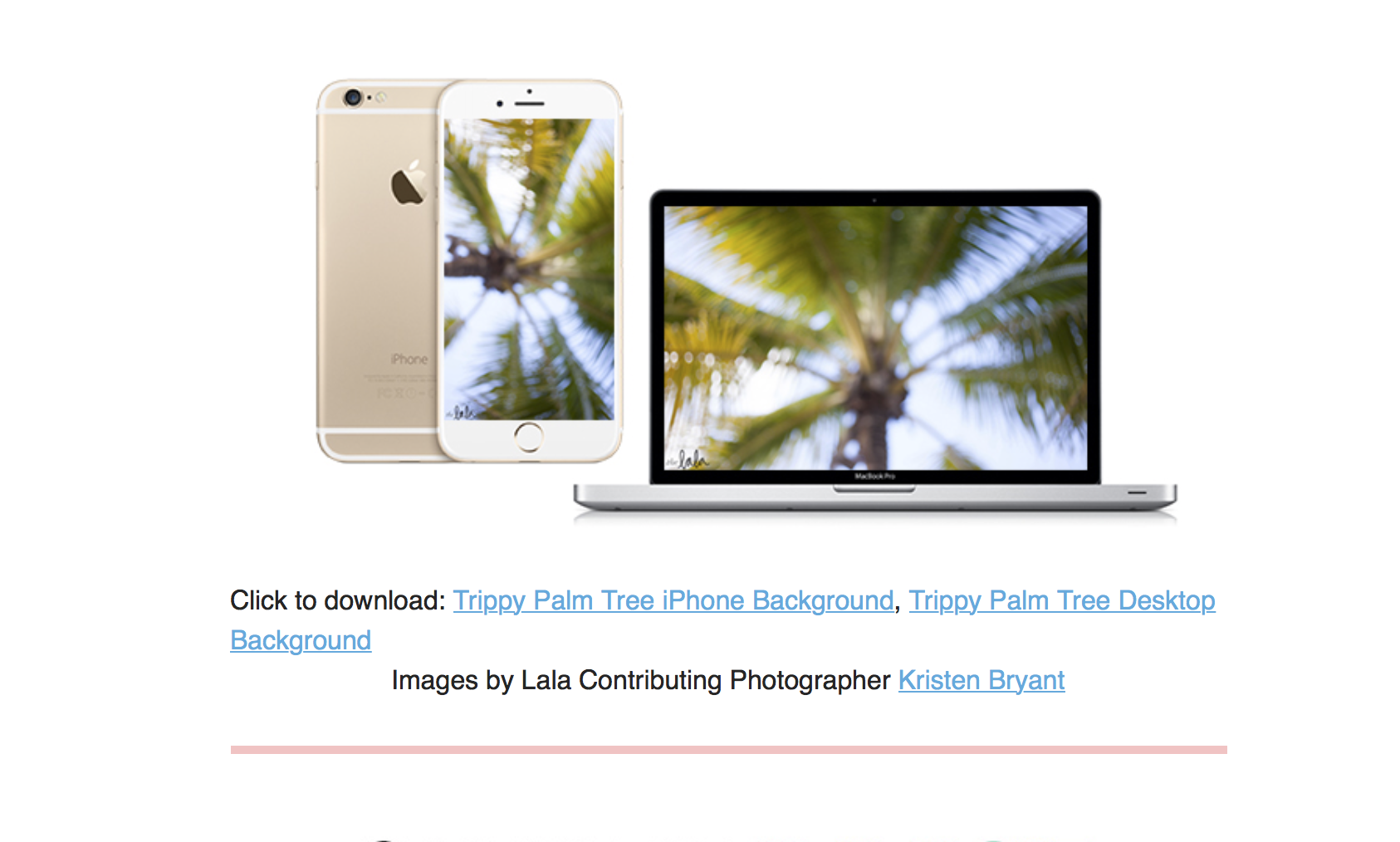 Screen Shot 2016-03-06 at 9.14.10 PM.png