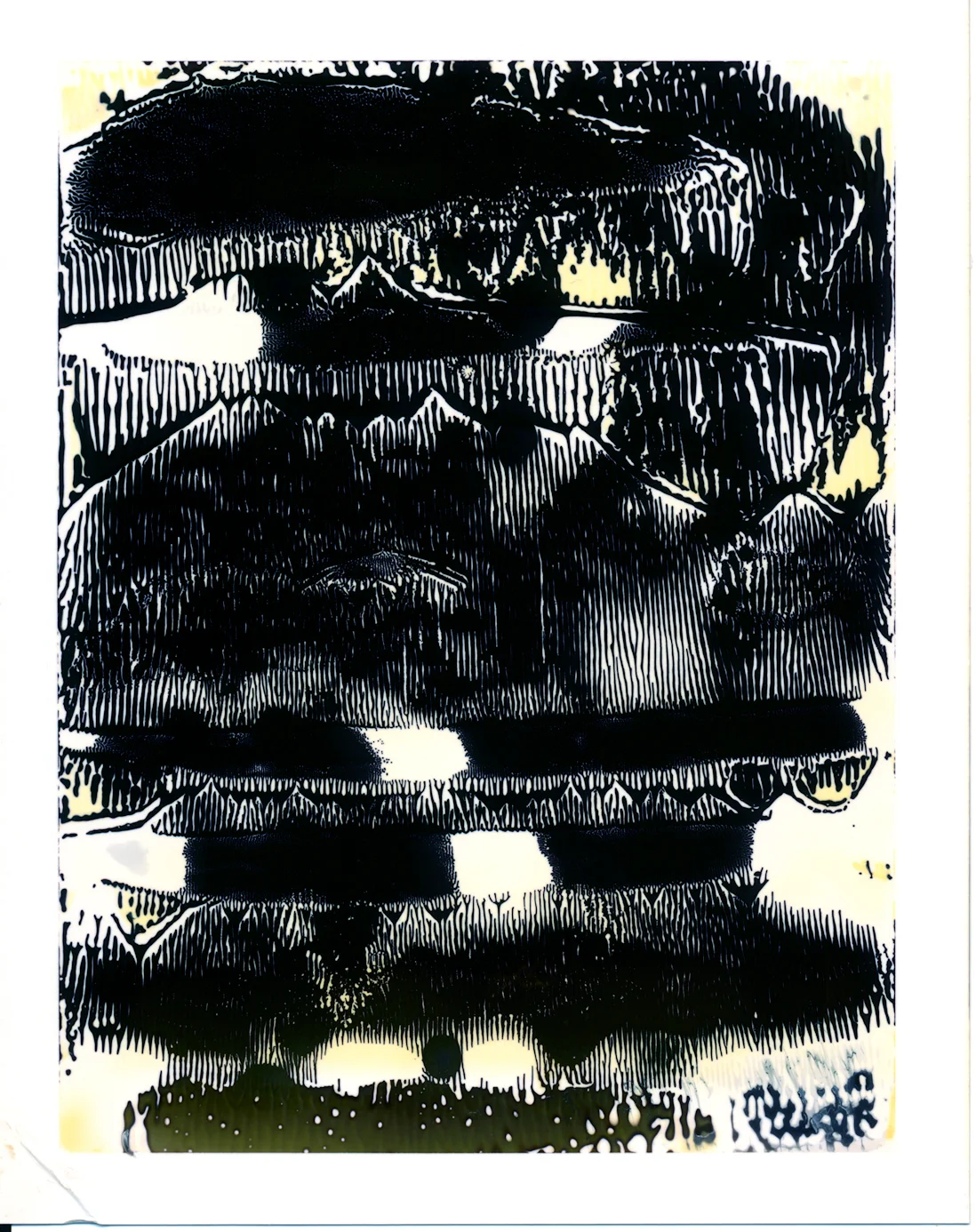 Polaroid210_3KB.jpg