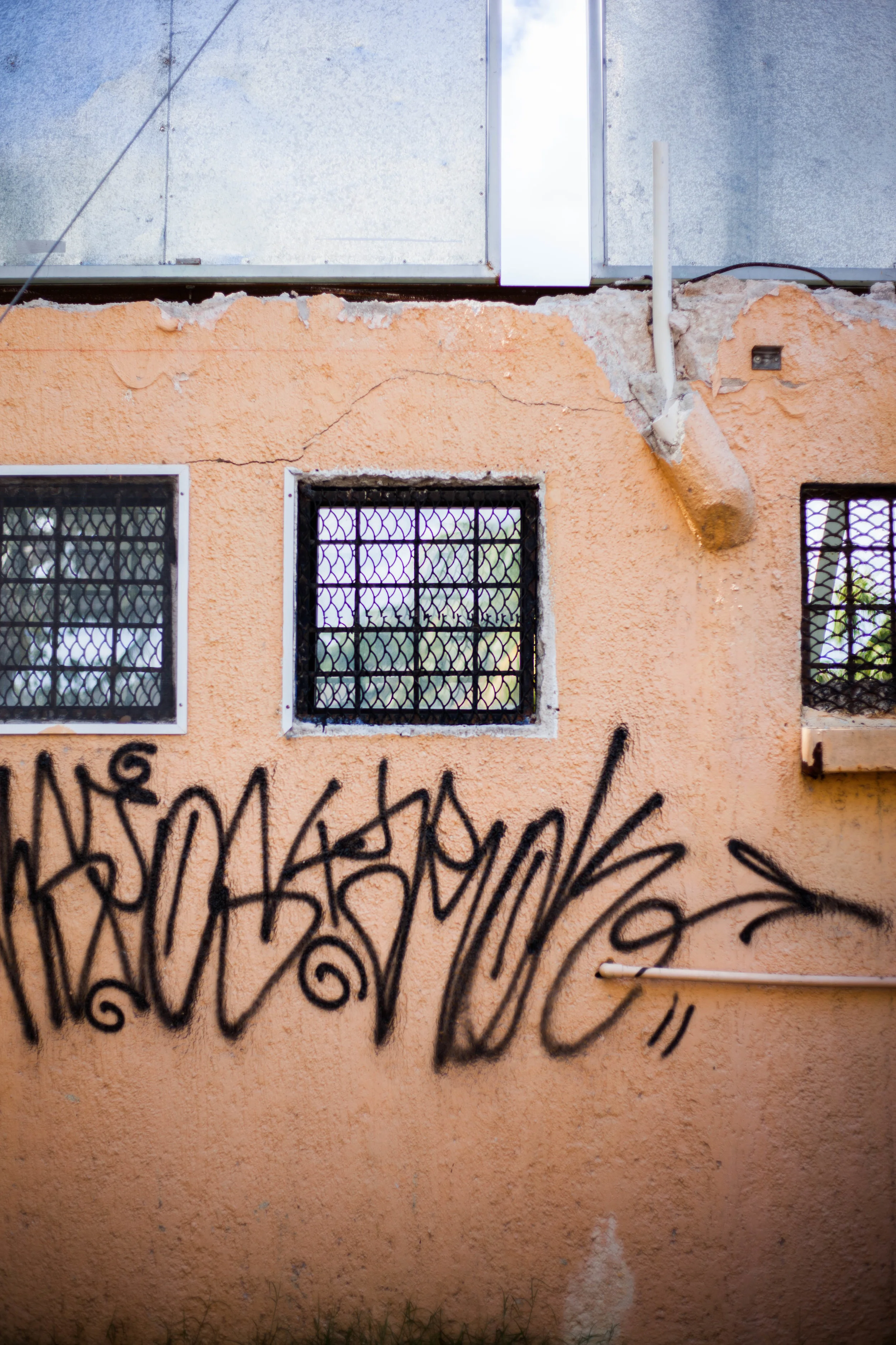 _MG_0036.jpg