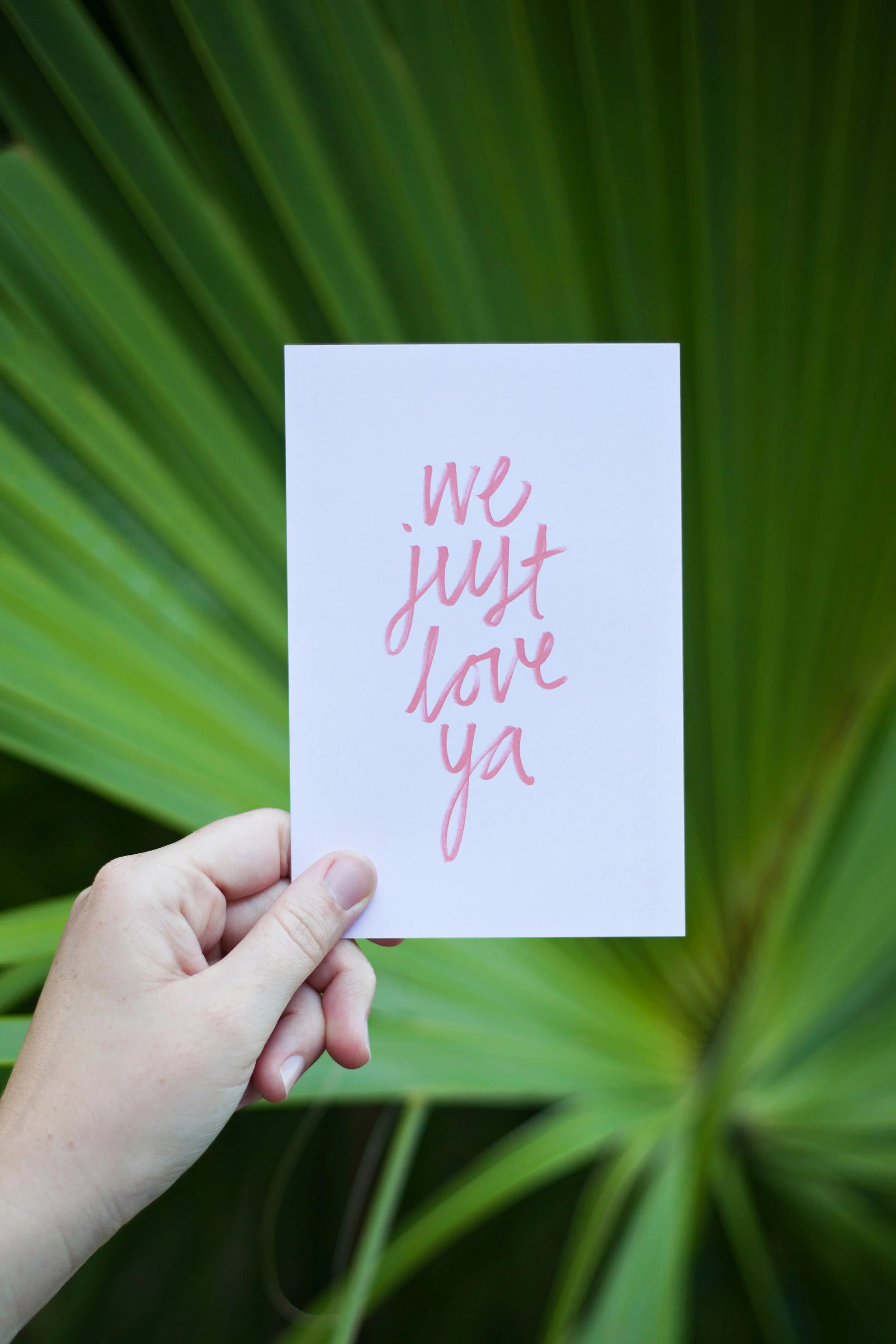 We Just Love Ya 4.jpg