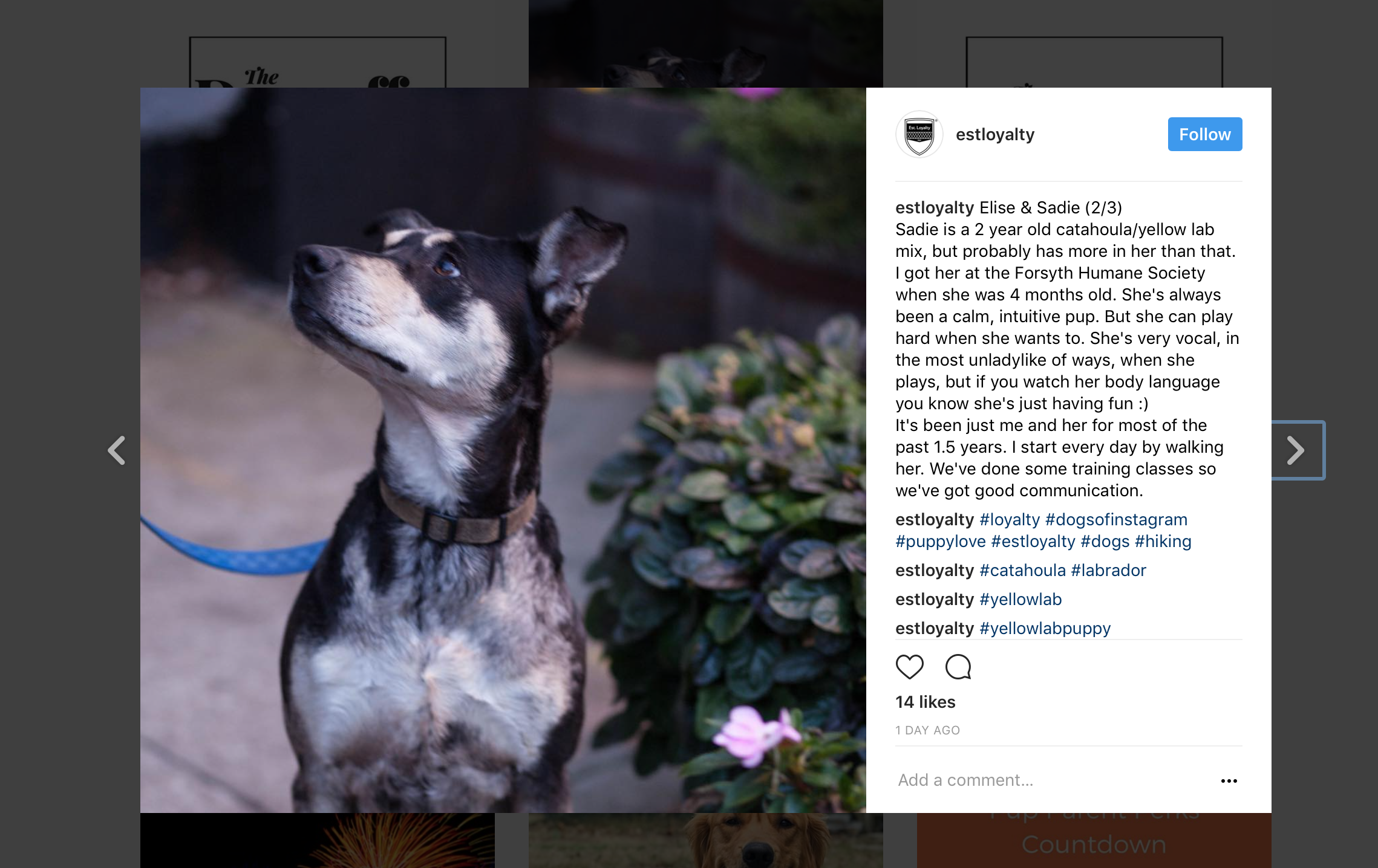 Screen Shot 2017-07-10 at 2.06.01 PM.png