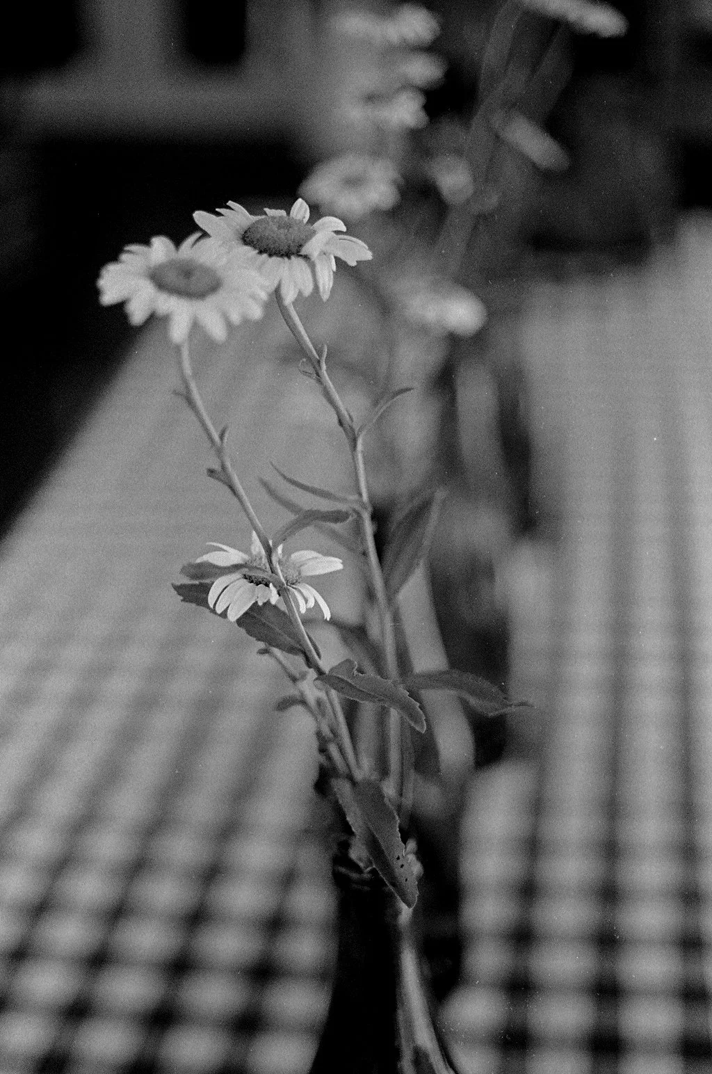 23_100722-1.jpg