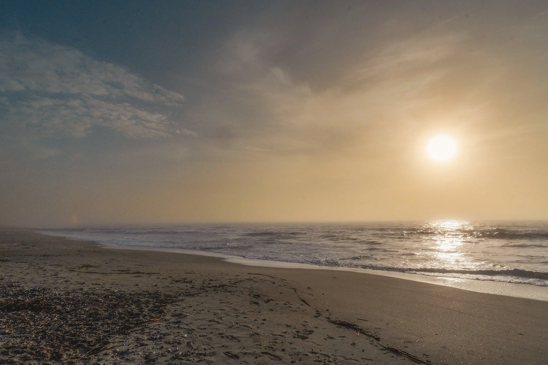 EdistoIsland_KristenMBryant2024_2.jpg