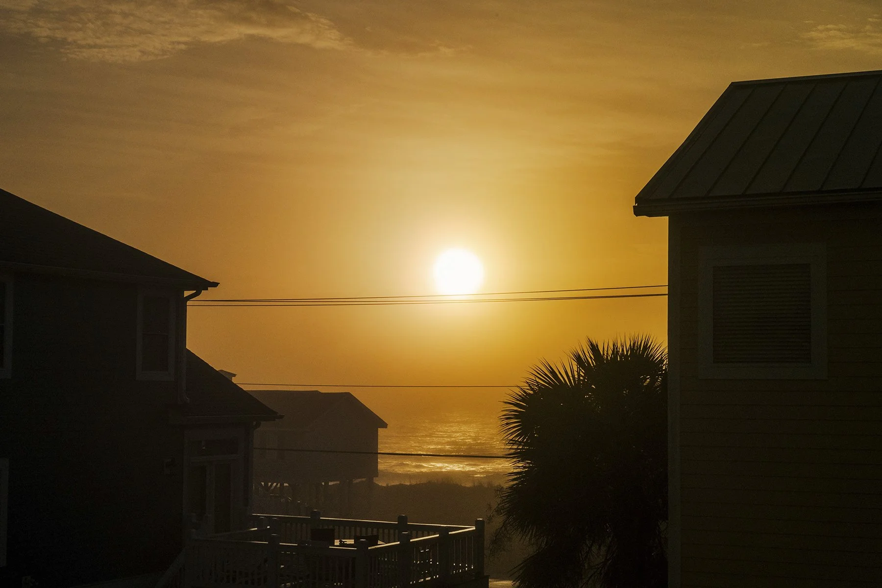 EdistoIsland_KristenMBryant2024_7.jpg