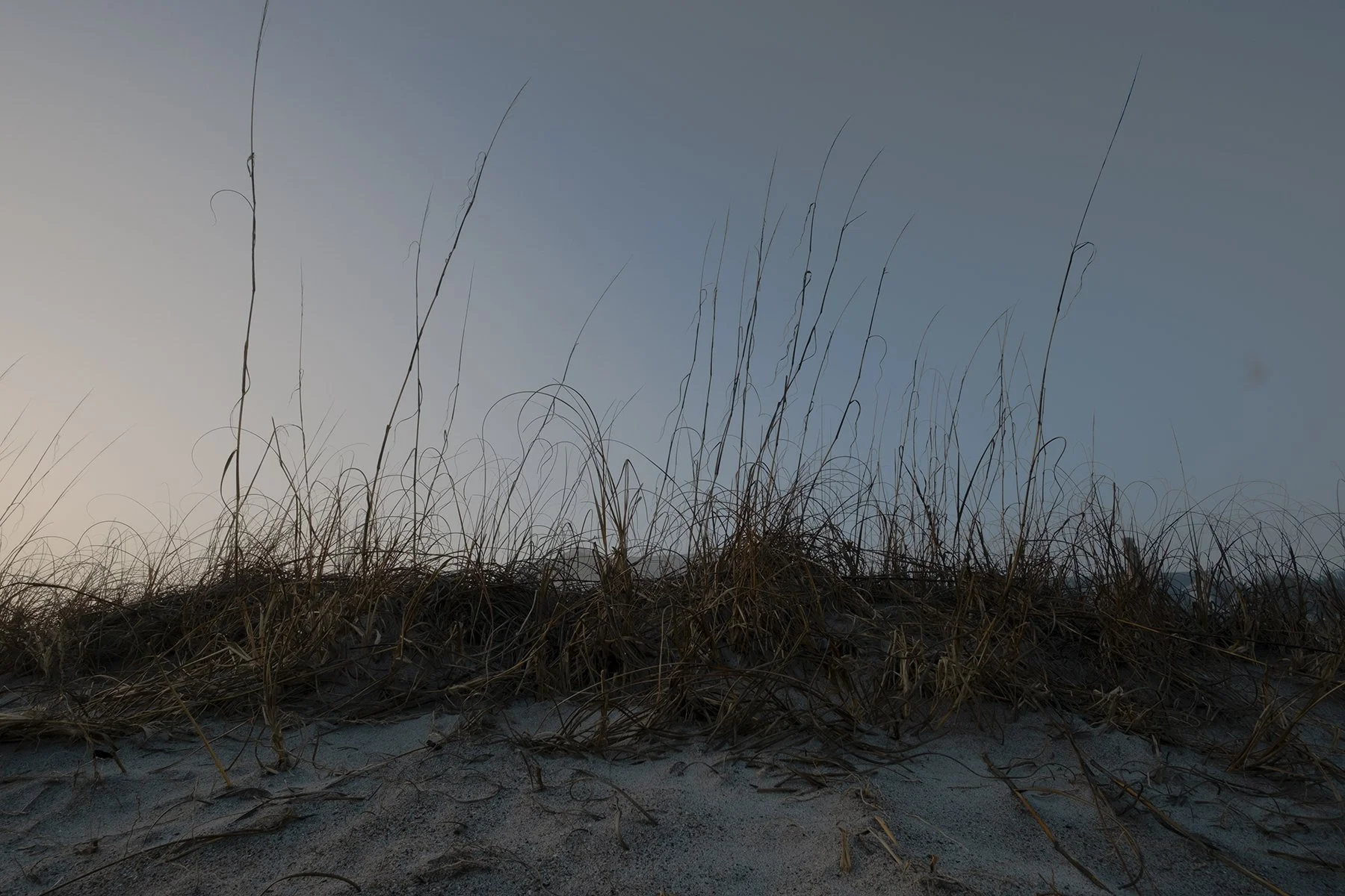 EdistoIsland_KristenMBryant2024.jpg