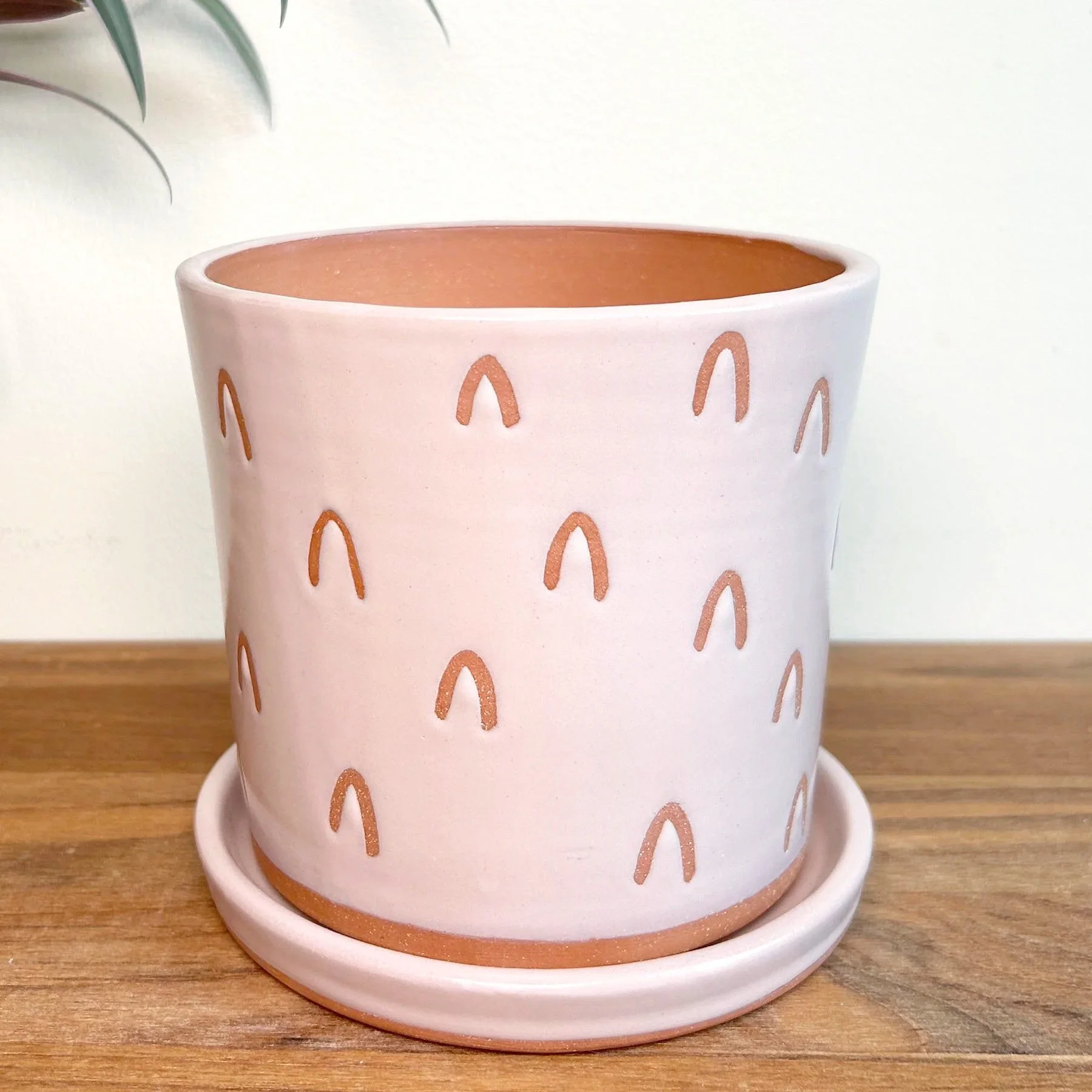 whiteplanter.jpg
