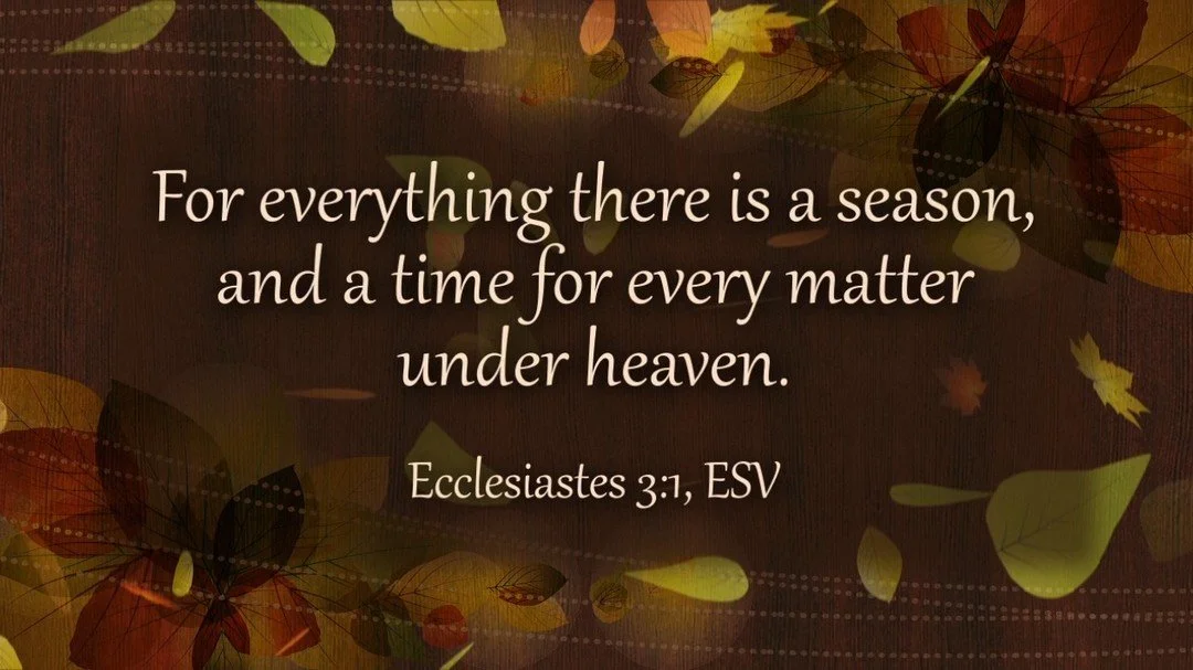 Slide 8