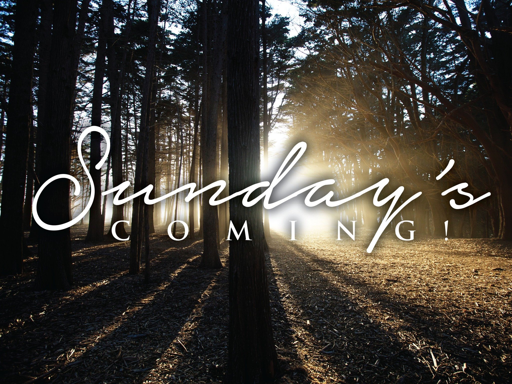 Today's word is ANTICIPATION. Post a photo or reflection below pertaining to the word ANTICIPATION.