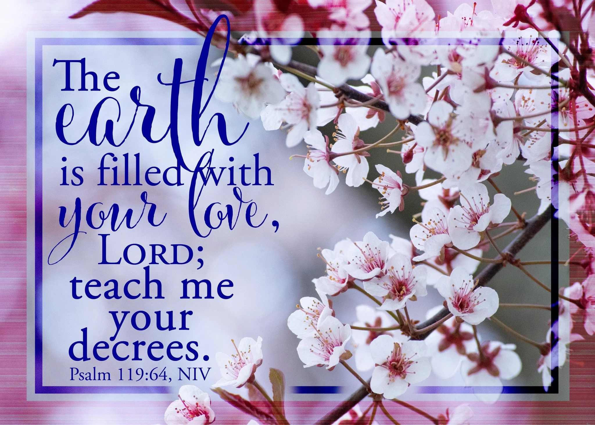 Today's word is LOVE. Post a photo or reflection below pertaining to the word LOVE.