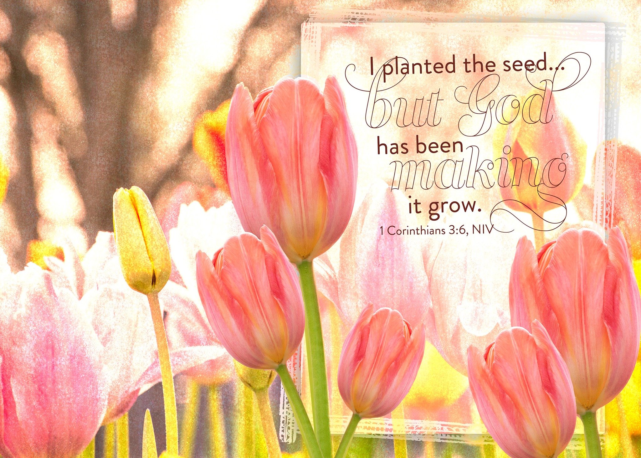 Today's word is GROWTH. Post a photo or reflection below pertaining to the word GROWTH.