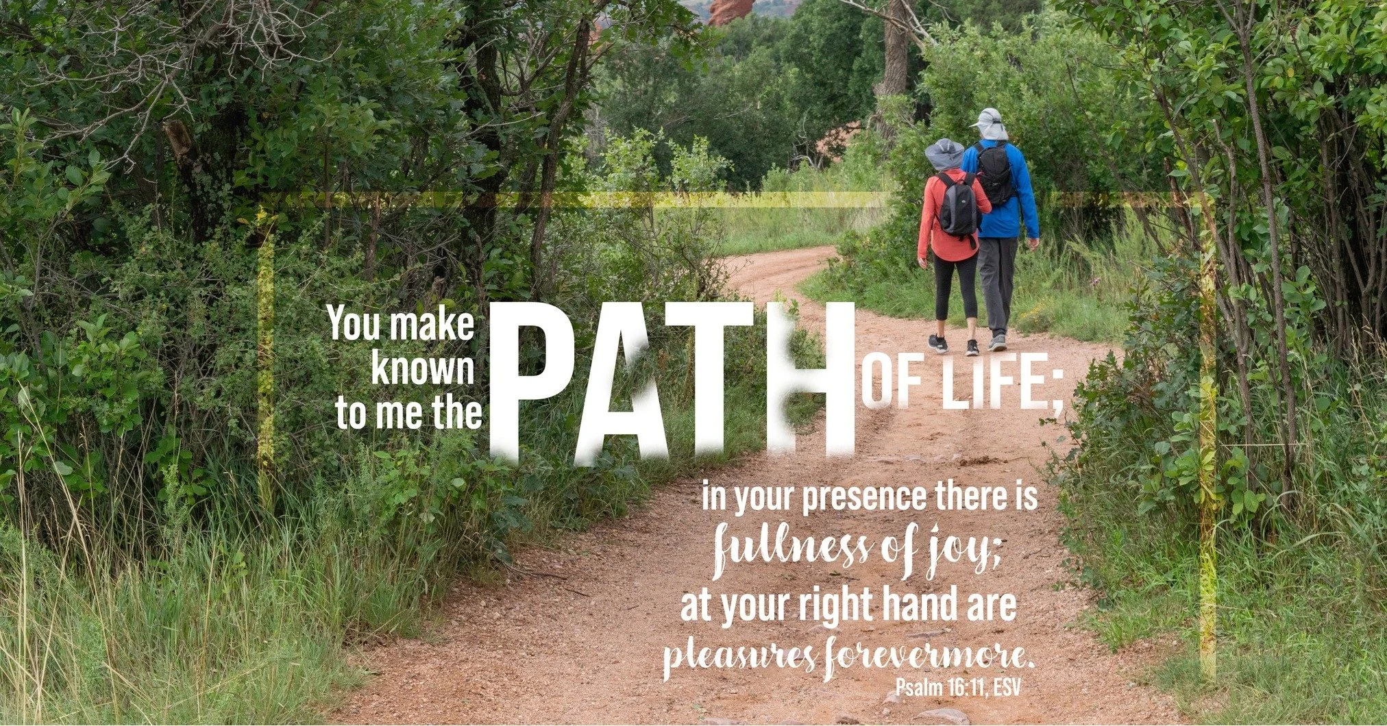 Today's word is LIFE. Post a photo or reflection below pertaining to the word LIFE.