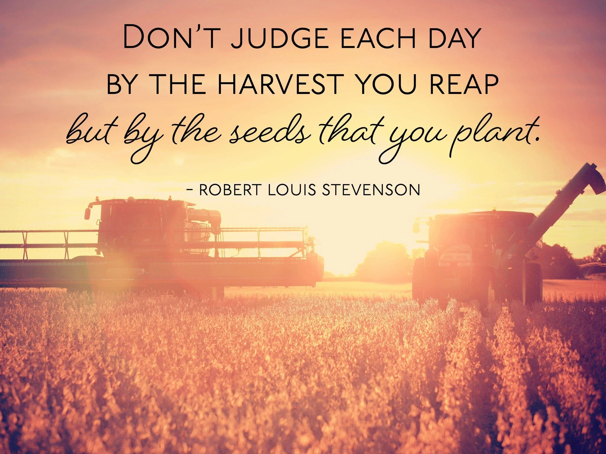 Today's word is JUDGEMENT. Post a photo or reflection below pertaining to the word JUDGEMENT.