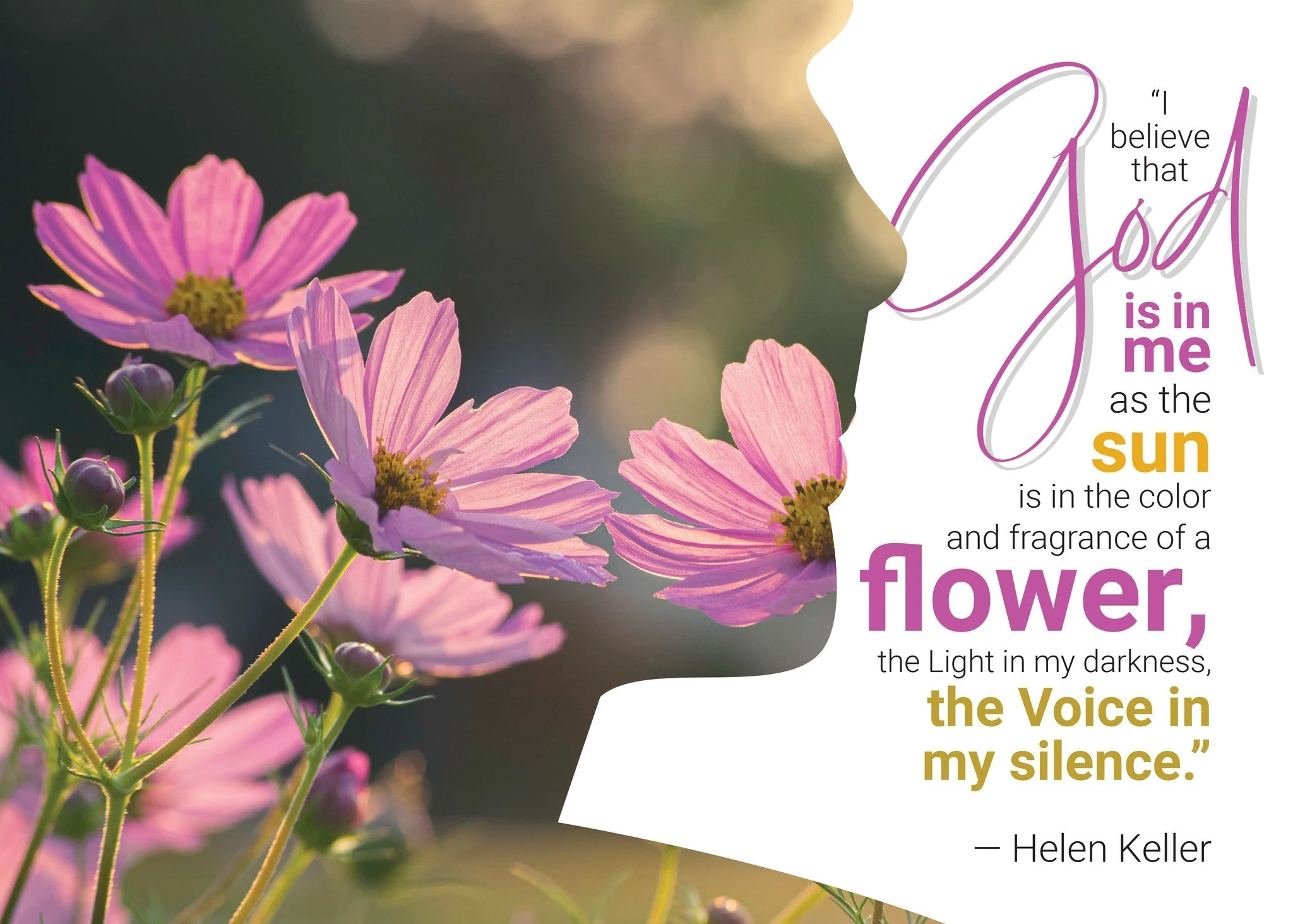 Today's word is SILENCE. Post a photo or reflection below pertaining to the word SILENCE.