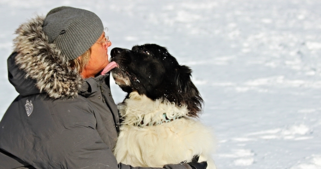 Nothing 'cool' about the cold...